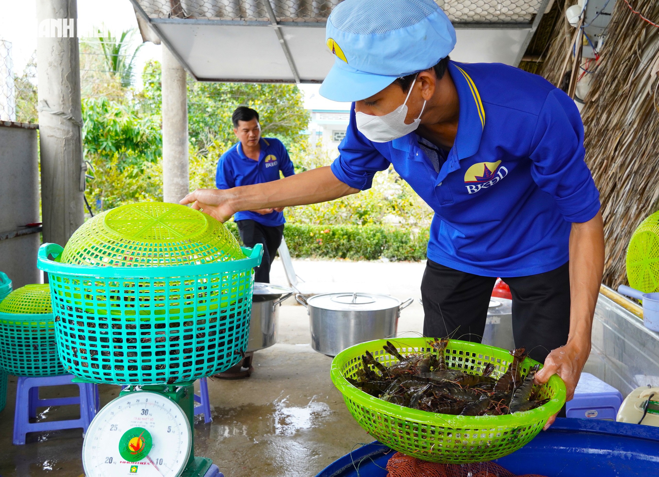 T&ocirc;m s&uacute; kh&ocirc; nguy&ecirc;n vỏ C&agrave; Mau 'ch&aacute;y h&agrave;ng' dịp tết, gi&aacute; 1,5 triệu/kg vẫn h&uacute;t kh&aacute;ch - Ảnh 3.