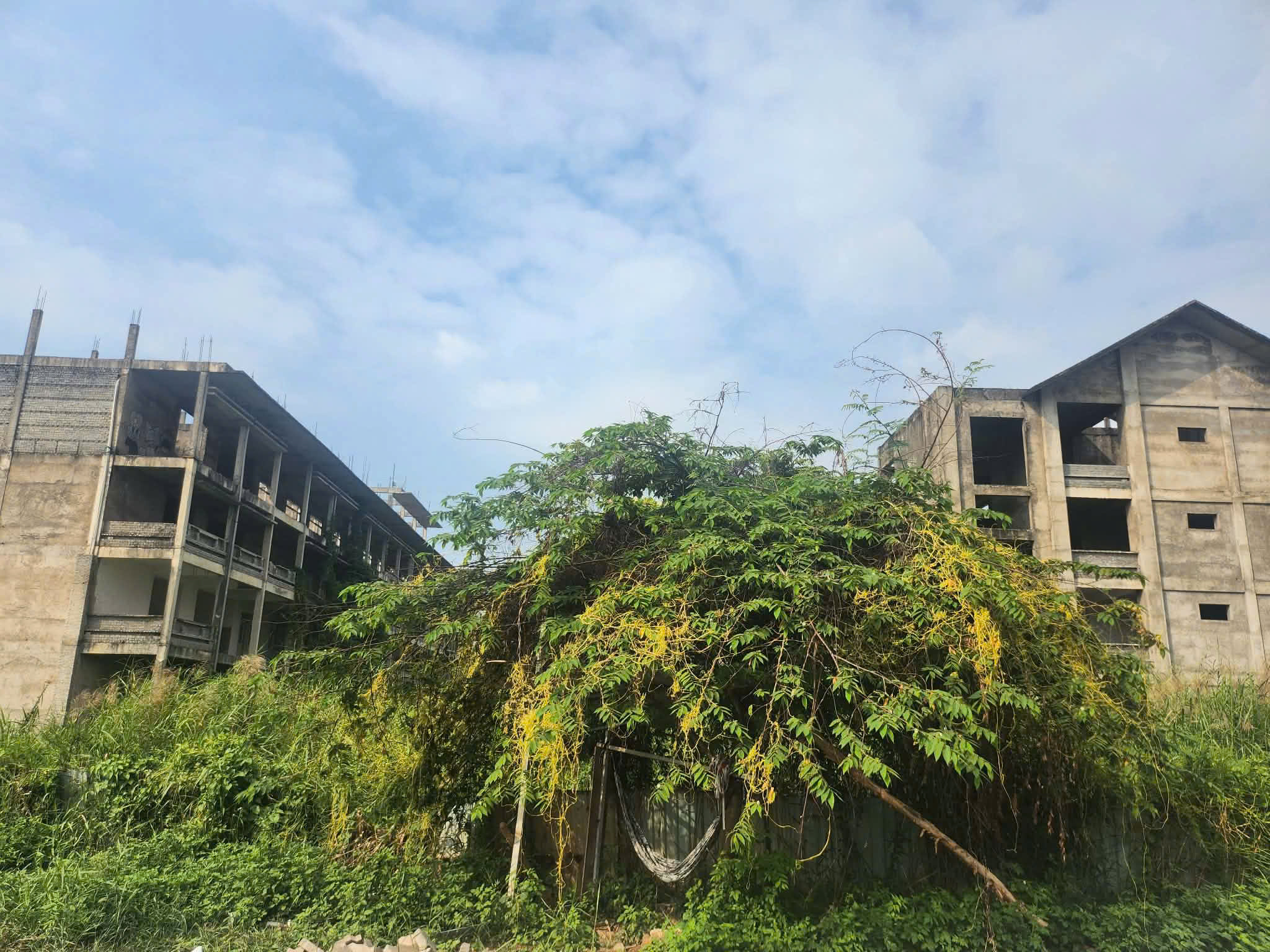 Trường học TP.HCM: Nơi quá tải, xuống cấp, nơi tuyển không đủ chỉ tiêu - Ảnh 4.