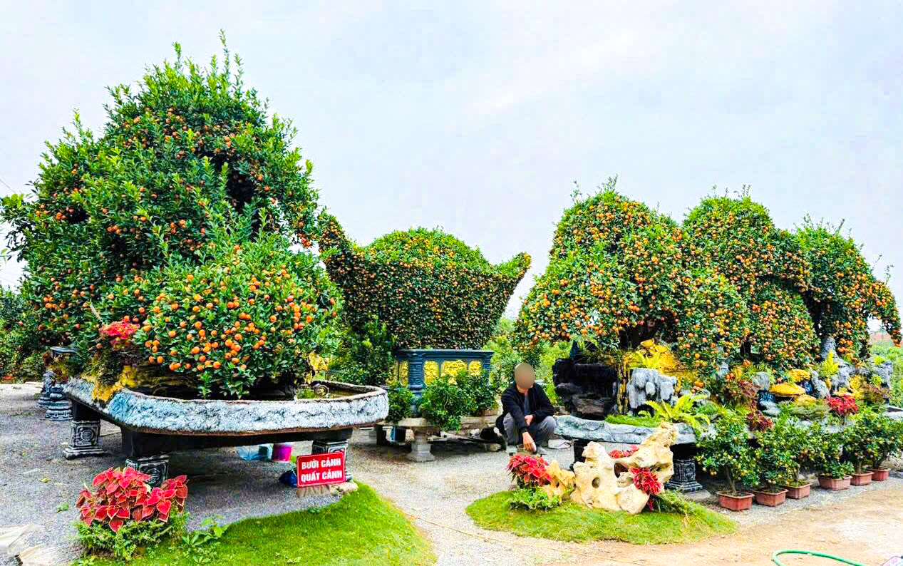 Bộ qu&yacute;t 'Ph&uacute;c-Lộc-Thọ' gi&aacute; nửa tỉ, đại gia mua về chơi tết Nguy&ecirc;n đ&aacute;n B&iacute;nh Ngọ 2026 - Ảnh 1.