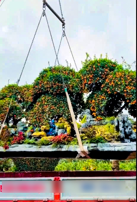 Bộ qu&yacute;t 'Ph&uacute;c-Lộc-Thọ' gi&aacute; nửa tỉ, đại gia mua về chơi tết Nguy&ecirc;n đ&aacute;n B&iacute;nh Ngọ 2026 - Ảnh 12.