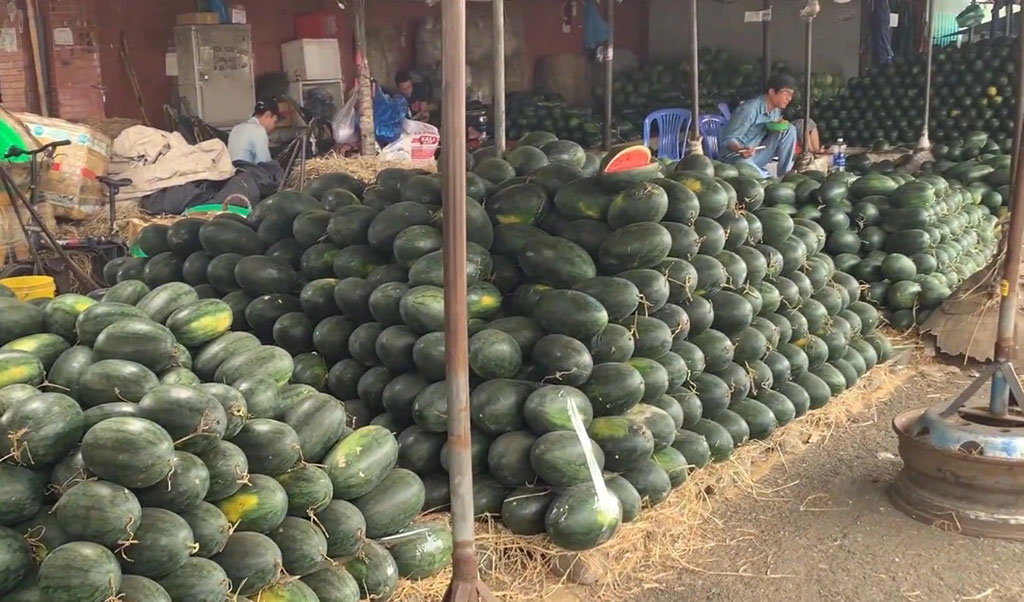 Chợ tết bắt đầu sôi động- Ảnh 2.