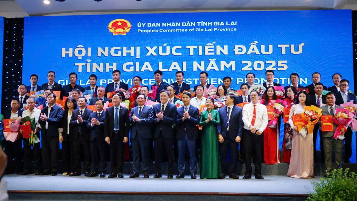 Gia Lai ‘mở hàng’ đầu năm với loạt dự án hơn 27.400 tỉ đồng- Ảnh 2.