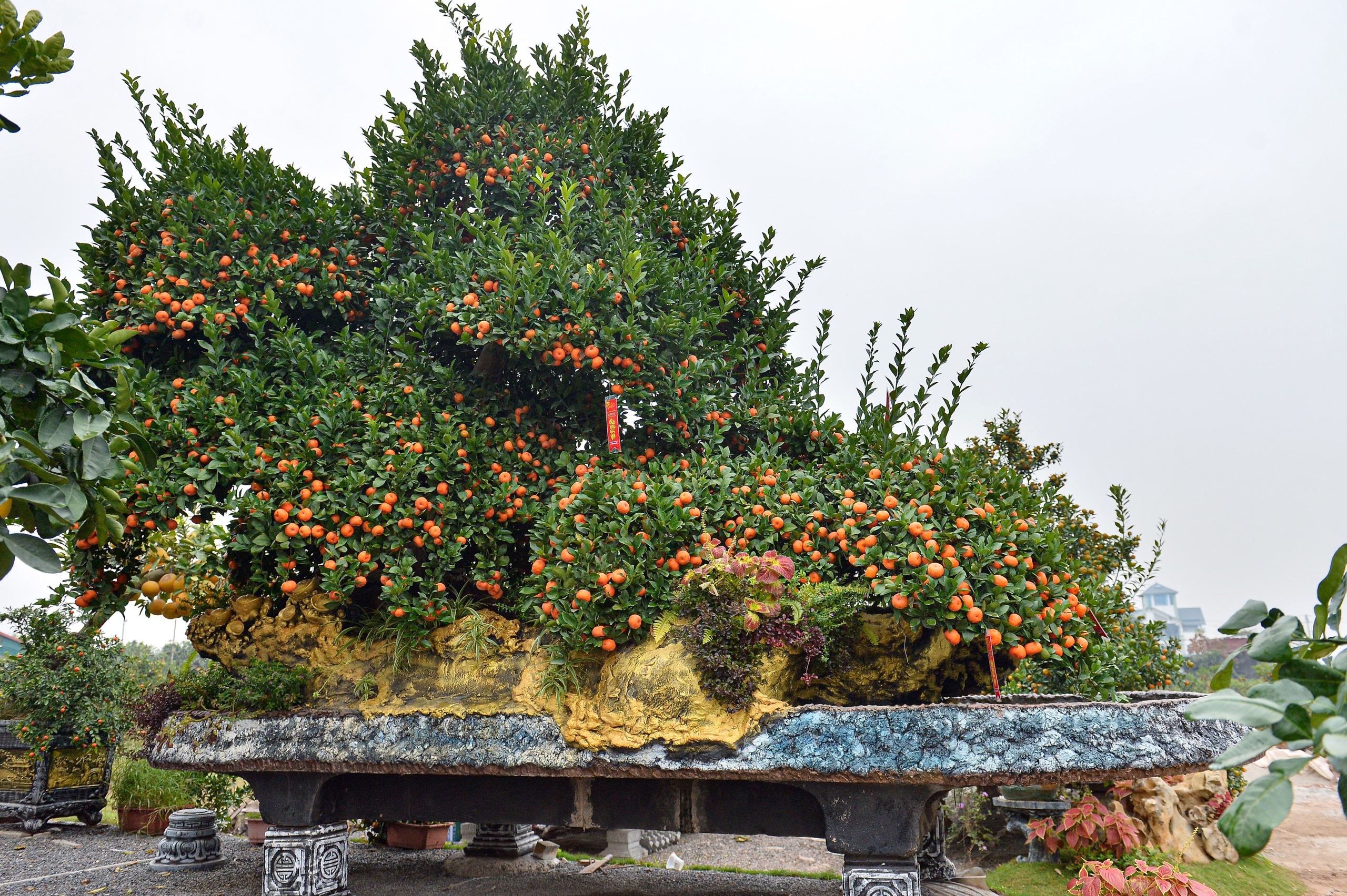 Bộ qu&yacute;t 'Ph&uacute;c-Lộc-Thọ' gi&aacute; nửa tỉ, đại gia mua về chơi tết Nguy&ecirc;n đ&aacute;n B&iacute;nh Ngọ 2026 - Ảnh 2.