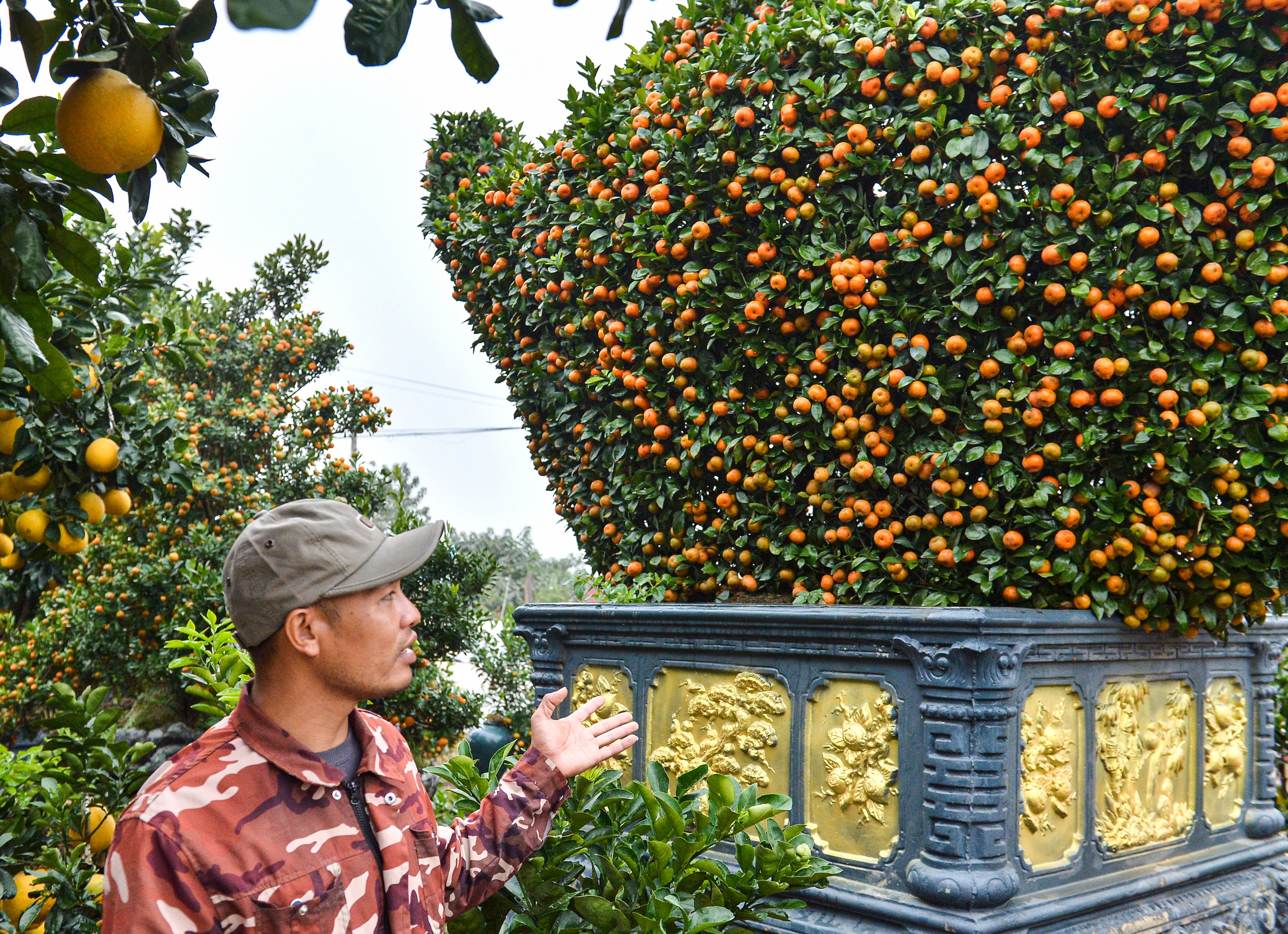 Bộ qu&yacute;t 'Ph&uacute;c-Lộc-Thọ' gi&aacute; nửa tỉ, đại gia mua về chơi tết Nguy&ecirc;n đ&aacute;n B&iacute;nh Ngọ 2026 - Ảnh 11.