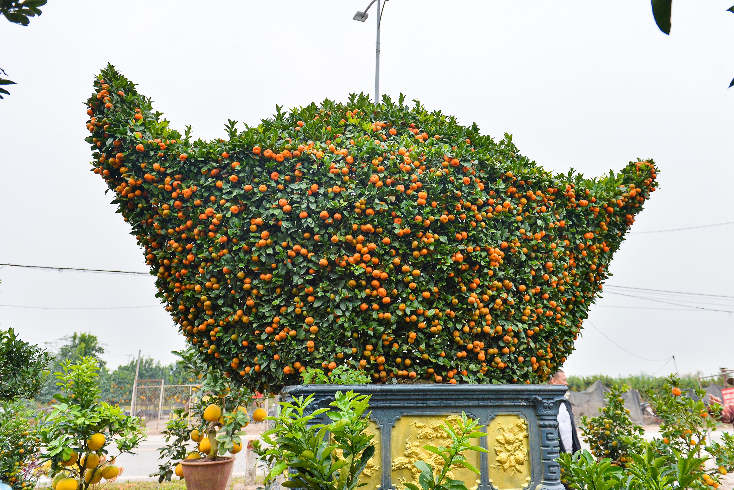 Bộ qu&yacute;t 'Ph&uacute;c-Lộc-Thọ' gi&aacute; nửa tỉ, đại gia mua về chơi tết Nguy&ecirc;n đ&aacute;n B&iacute;nh Ngọ 2026 - Ảnh 9.