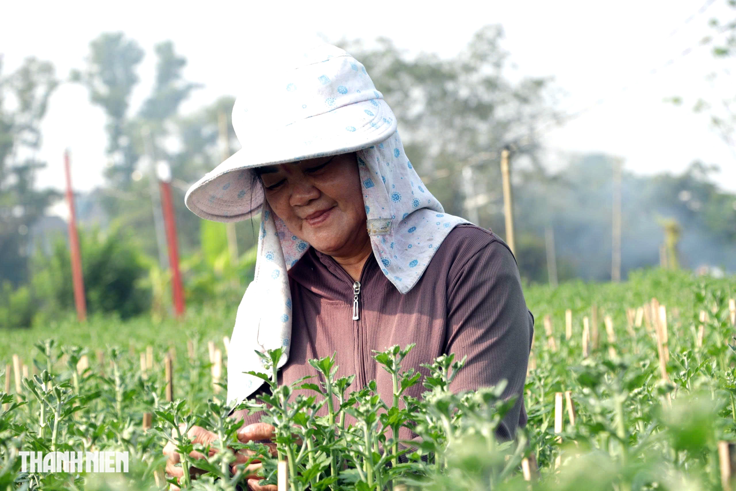 L&agrave;ng hoa lớn nhất TP.HCM tất bật v&agrave;o vụ Tết - Ảnh 3.