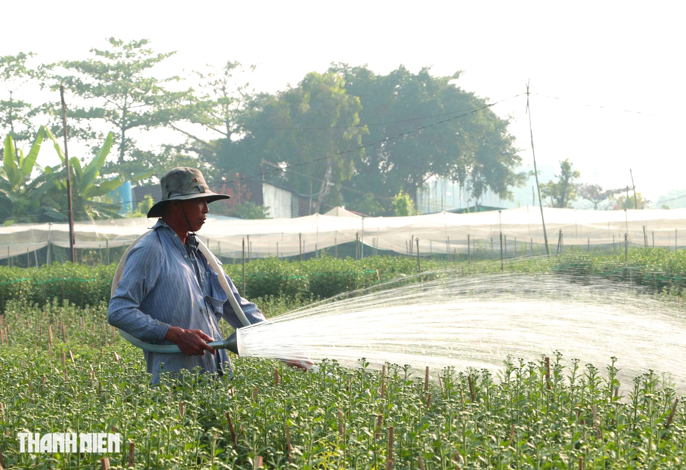 L&agrave;ng hoa lớn nhất TP.HCM tất bật v&agrave;o vụ Tết - Ảnh 1.