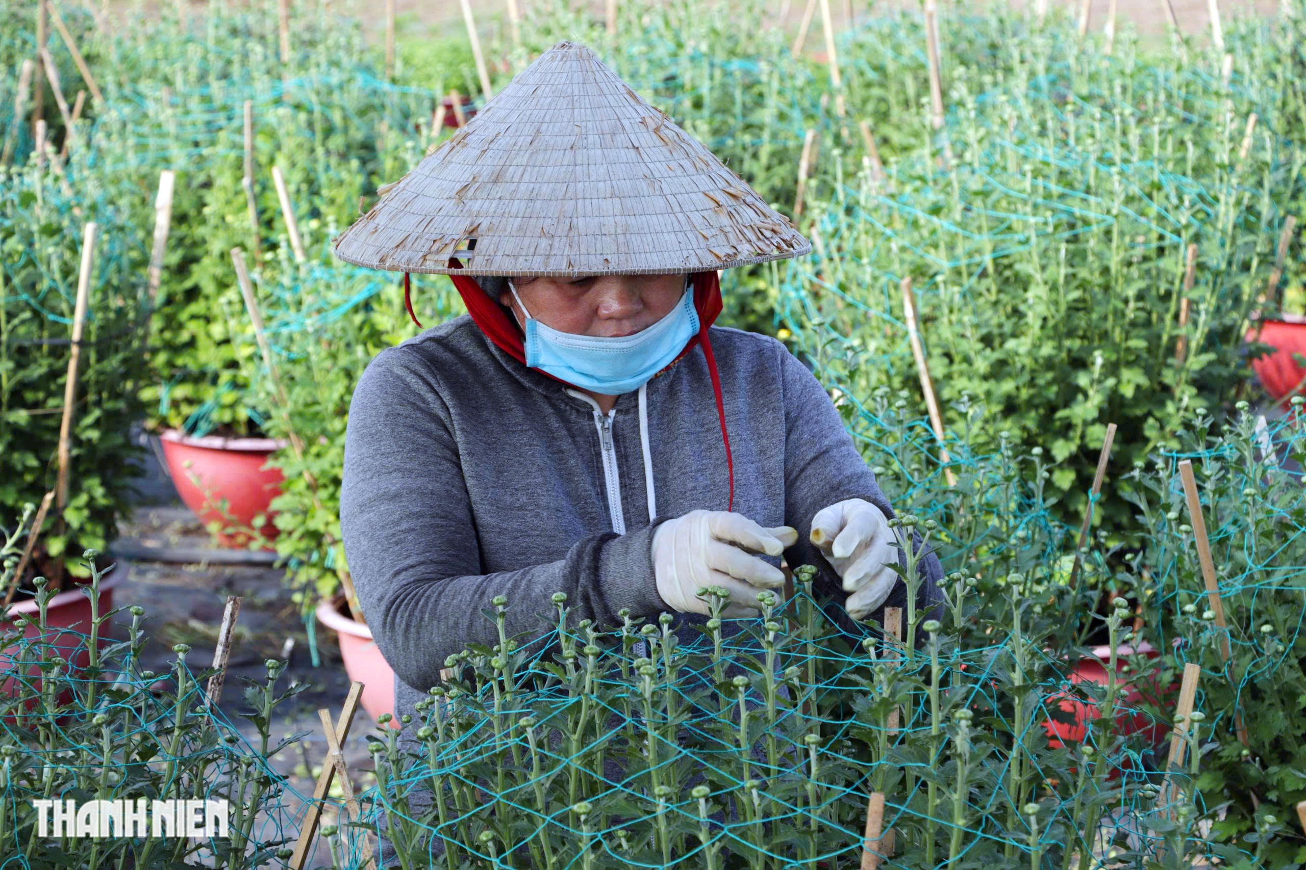 L&agrave;ng hoa lớn nhất TP.HCM tất bật v&agrave;o vụ Tết - Ảnh 2.
