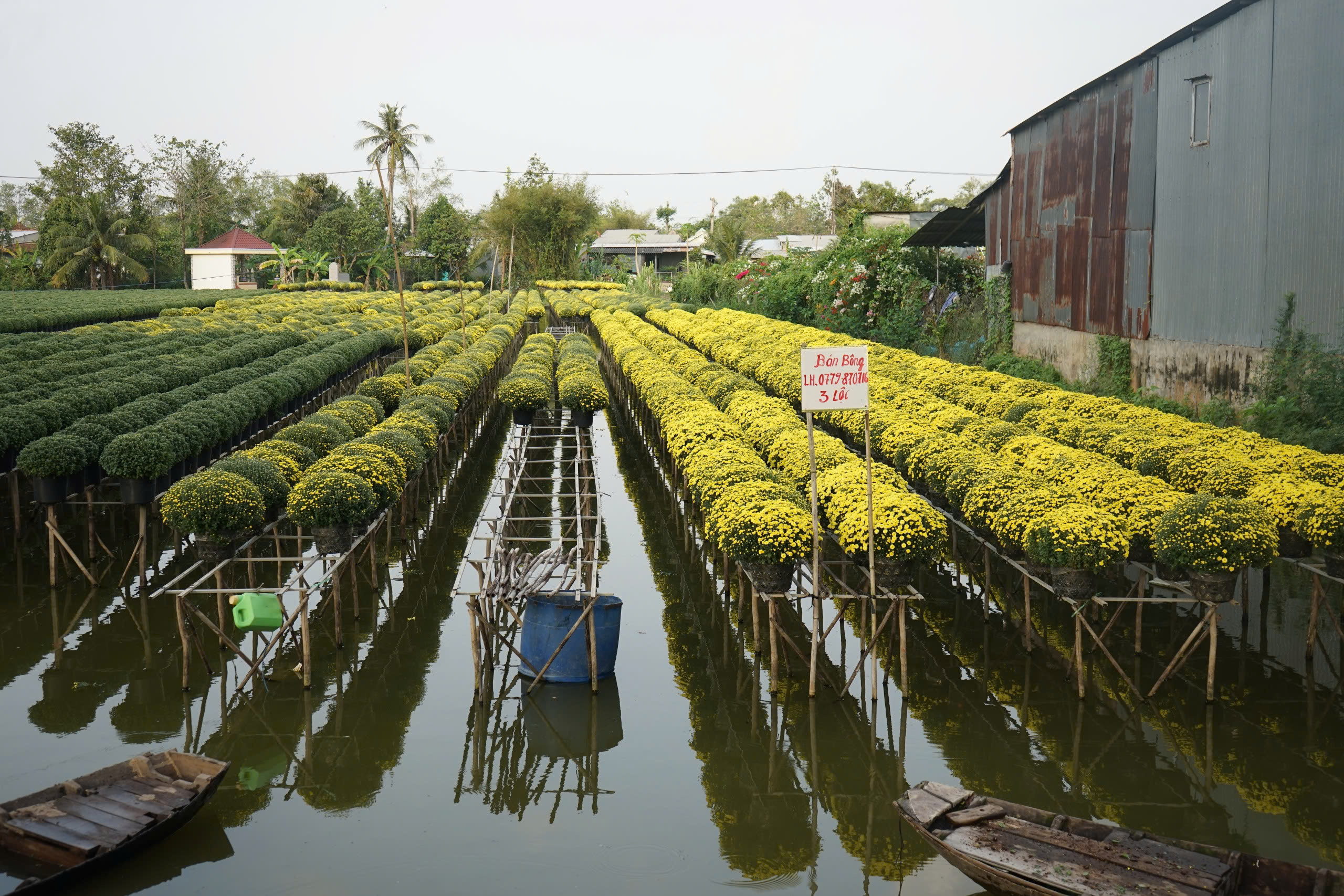 Từ nghề thuần n&ocirc;ng đến di sản quốc gia- Ảnh 3.