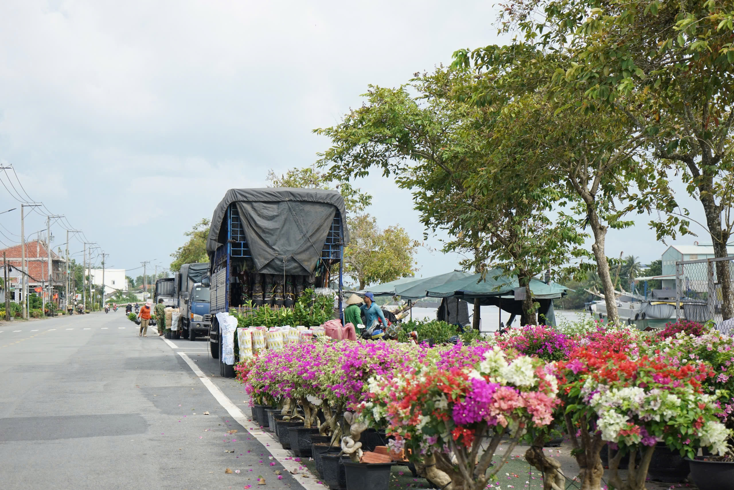 Từ nghề thuần n&ocirc;ng đến di sản quốc gia- Ảnh 4.