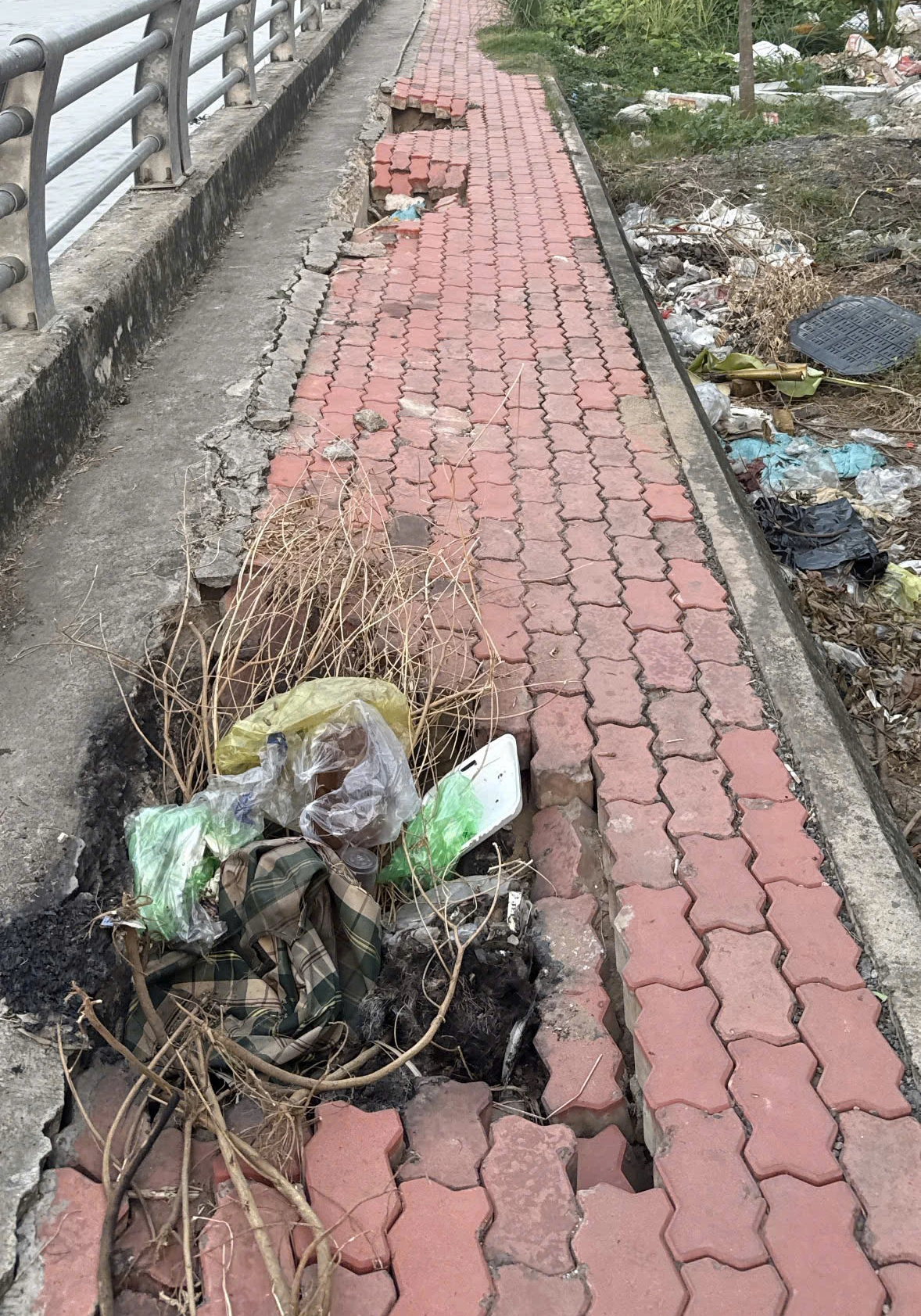 Người dân dọc Trần Xuân Soạn lo sụt lún giống bờ kè kênh Tàu Hủ  - Ảnh 3.