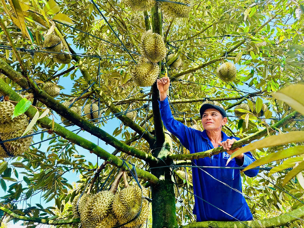 Xuất khẩu chinh phục mục tiêu 500 tỉ USD- Ảnh 1.