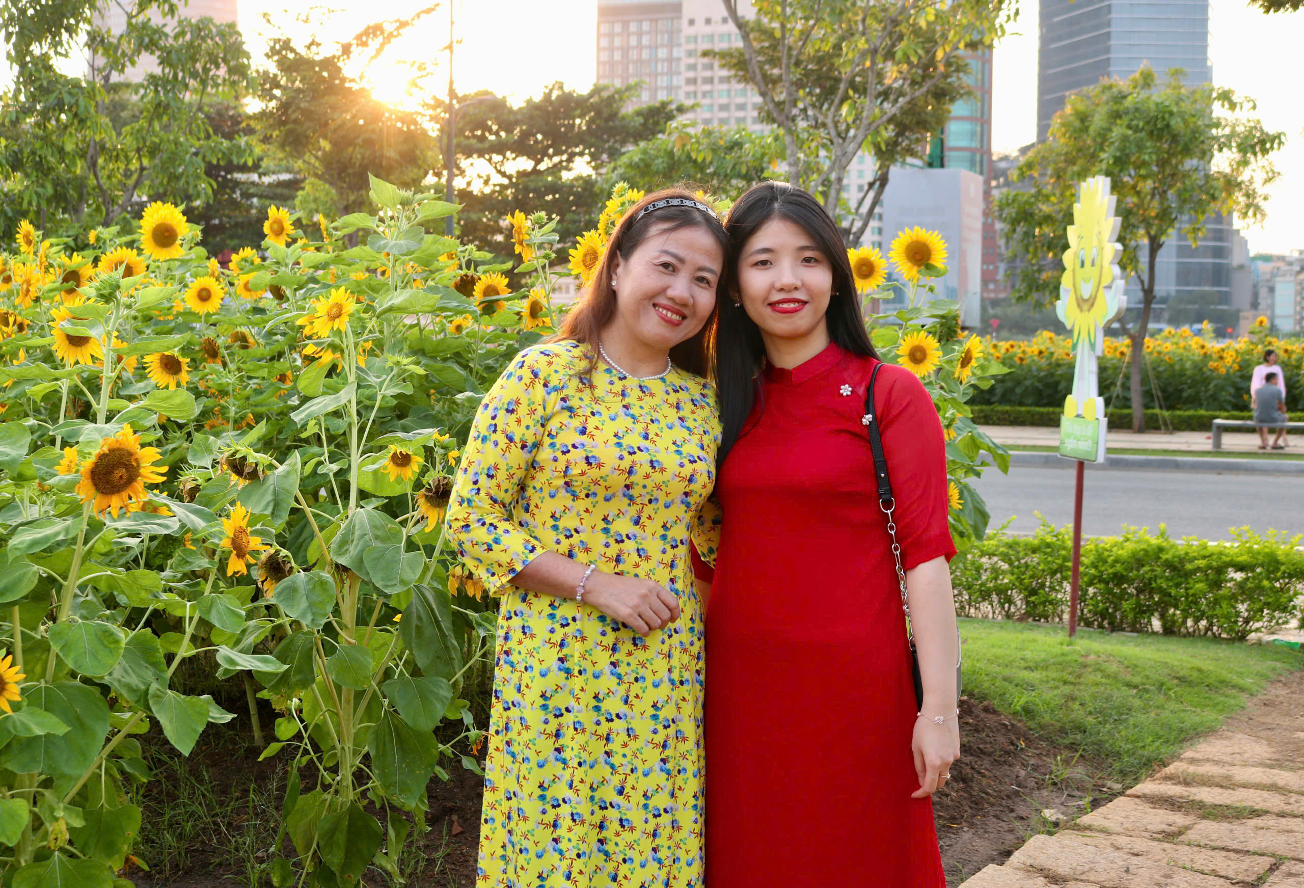 Hoa hướng dương bung nở giữa th&agrave;nh phố, nhiều người t&igrave;m đến chụp ảnh dịp đầu năm - Ảnh 11.