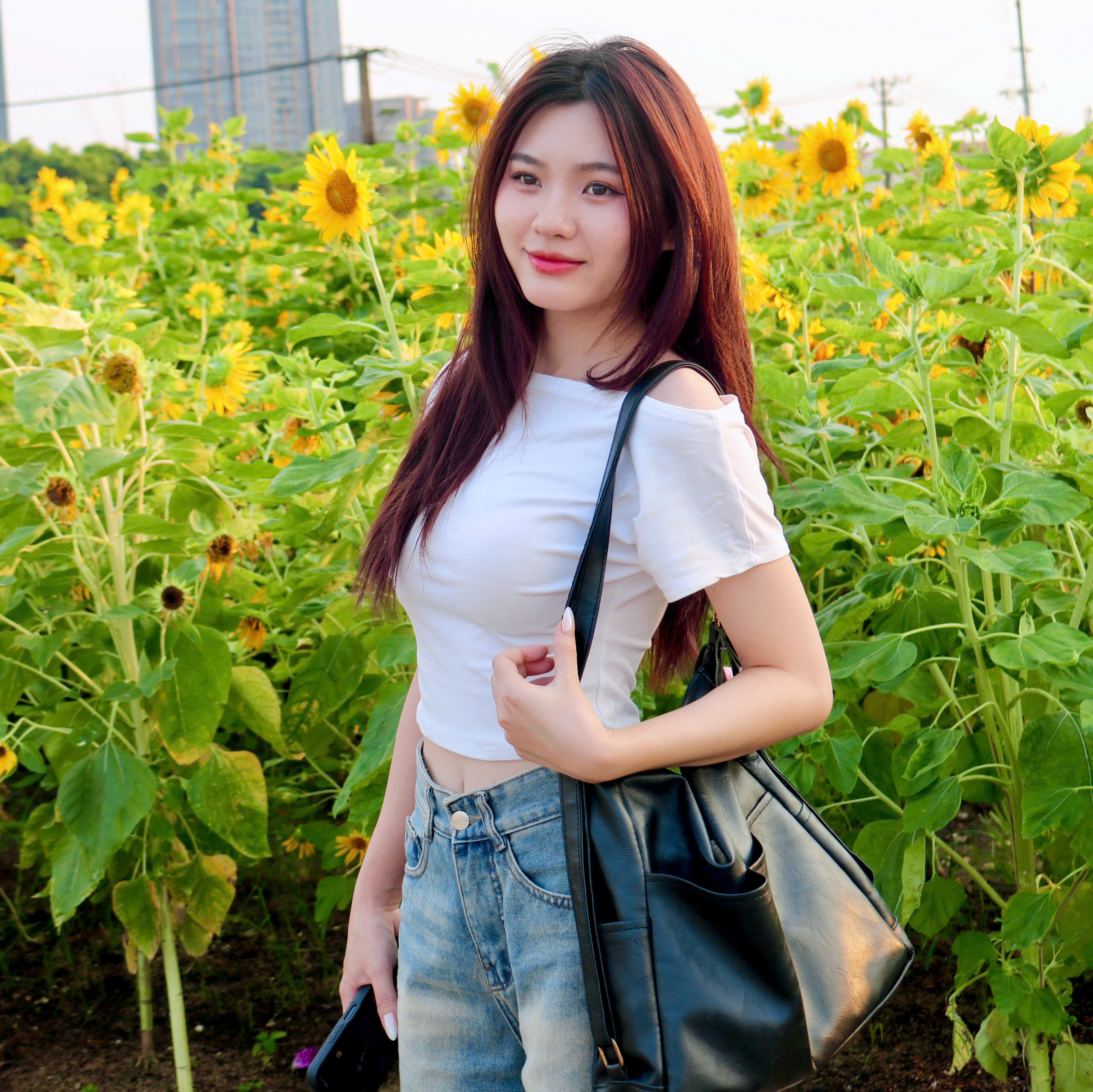 Hoa hướng dương bung nở giữa th&agrave;nh phố, nhiều người t&igrave;m đến chụp ảnh dịp đầu năm - Ảnh 5.