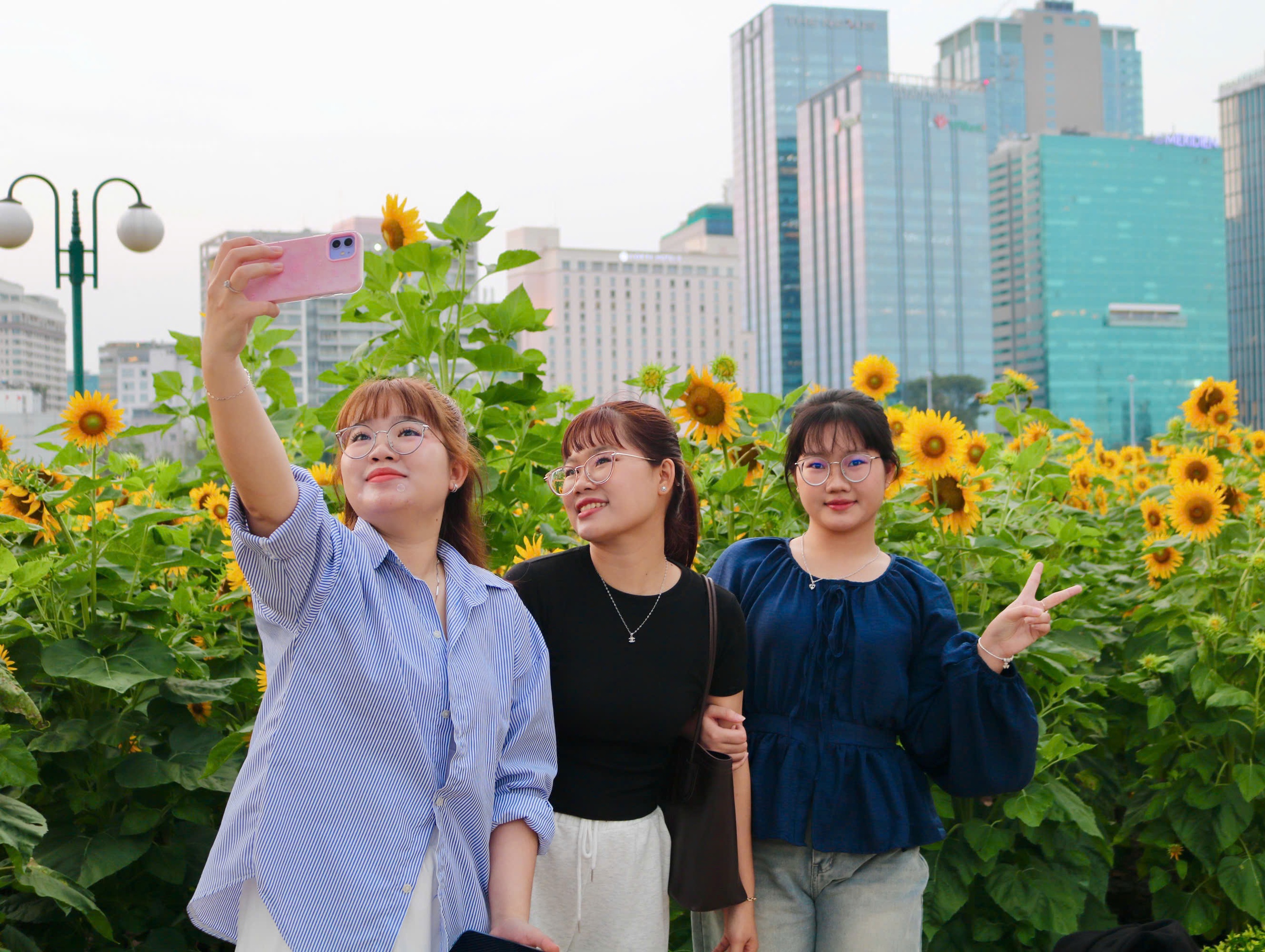 Hoa hướng dương bung nở giữa th&agrave;nh phố, nhiều người t&igrave;m đến chụp ảnh dịp đầu năm - Ảnh 2.