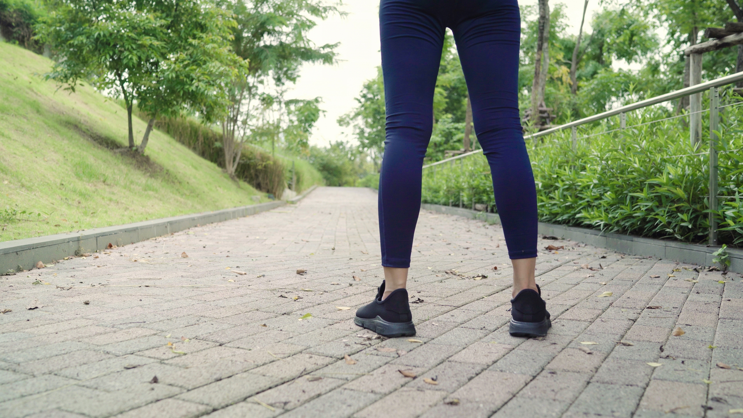 - Ảnh 1. - Ảnh 1.