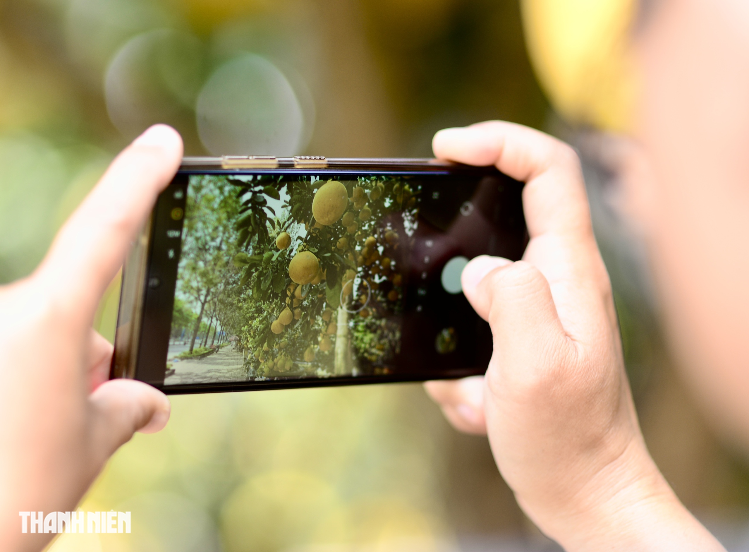 Chợ bưởi Diễn 'nôn' Tết Nguyên đán: Cây vừa vào TP.HCM đã có khách đặt - Ảnh 6.