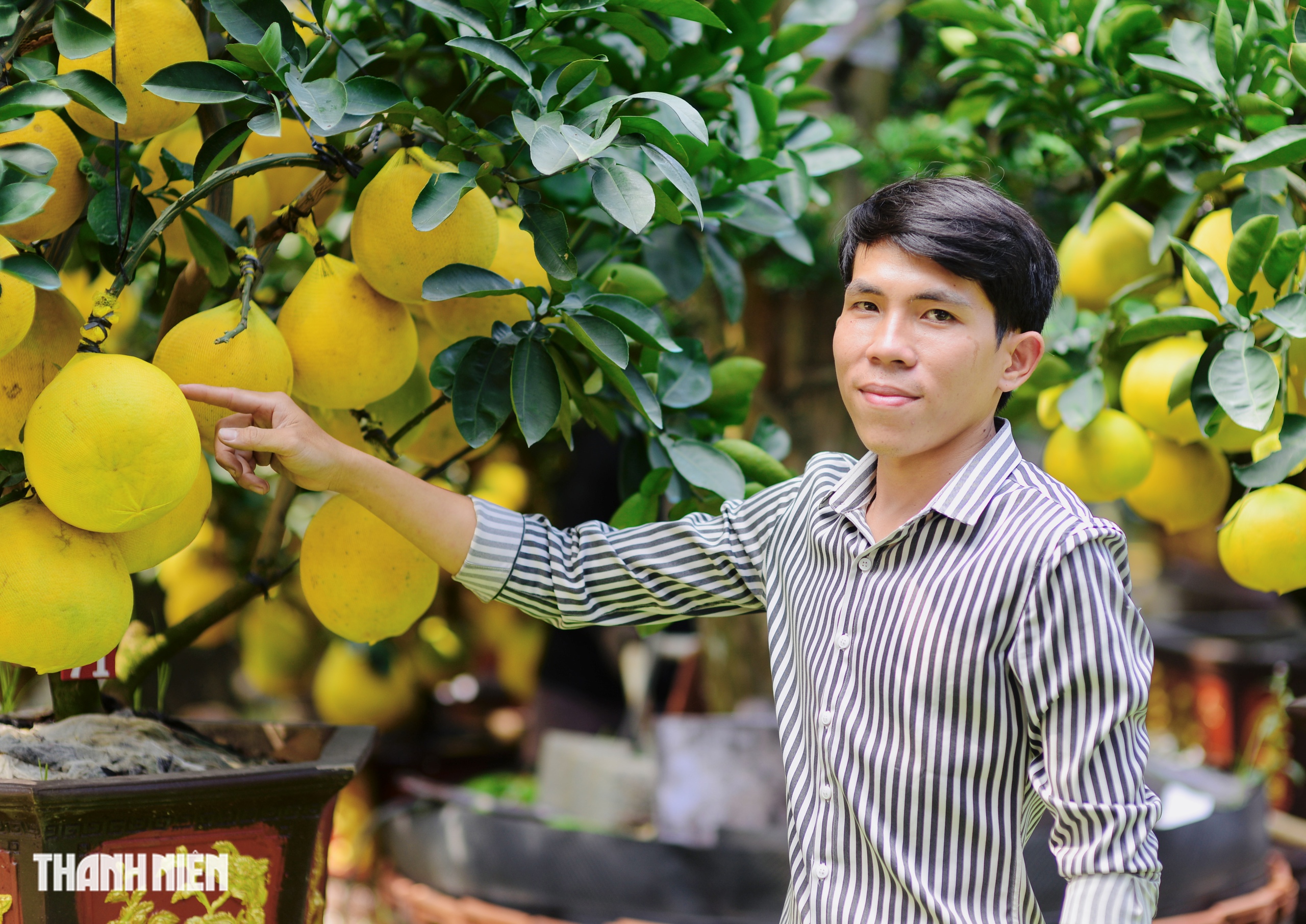 Chợ bưởi Diễn 'nôn' Tết Nguyên đán: Cây vừa vào TP.HCM đã có khách đặt - Ảnh 7.