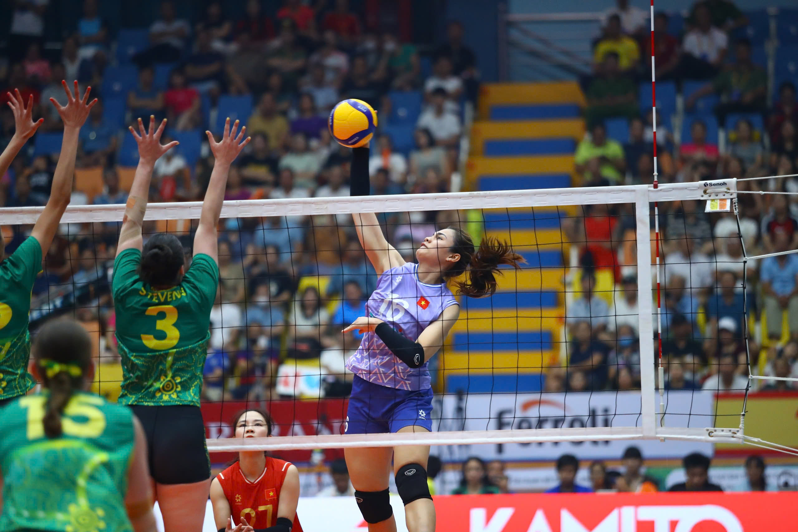 HLV Nguyễn Tuấn Kiệt cùng dàn sao bóng chuyền gia nhập CLB Hà Nội Tasco Auto- Ảnh 2.