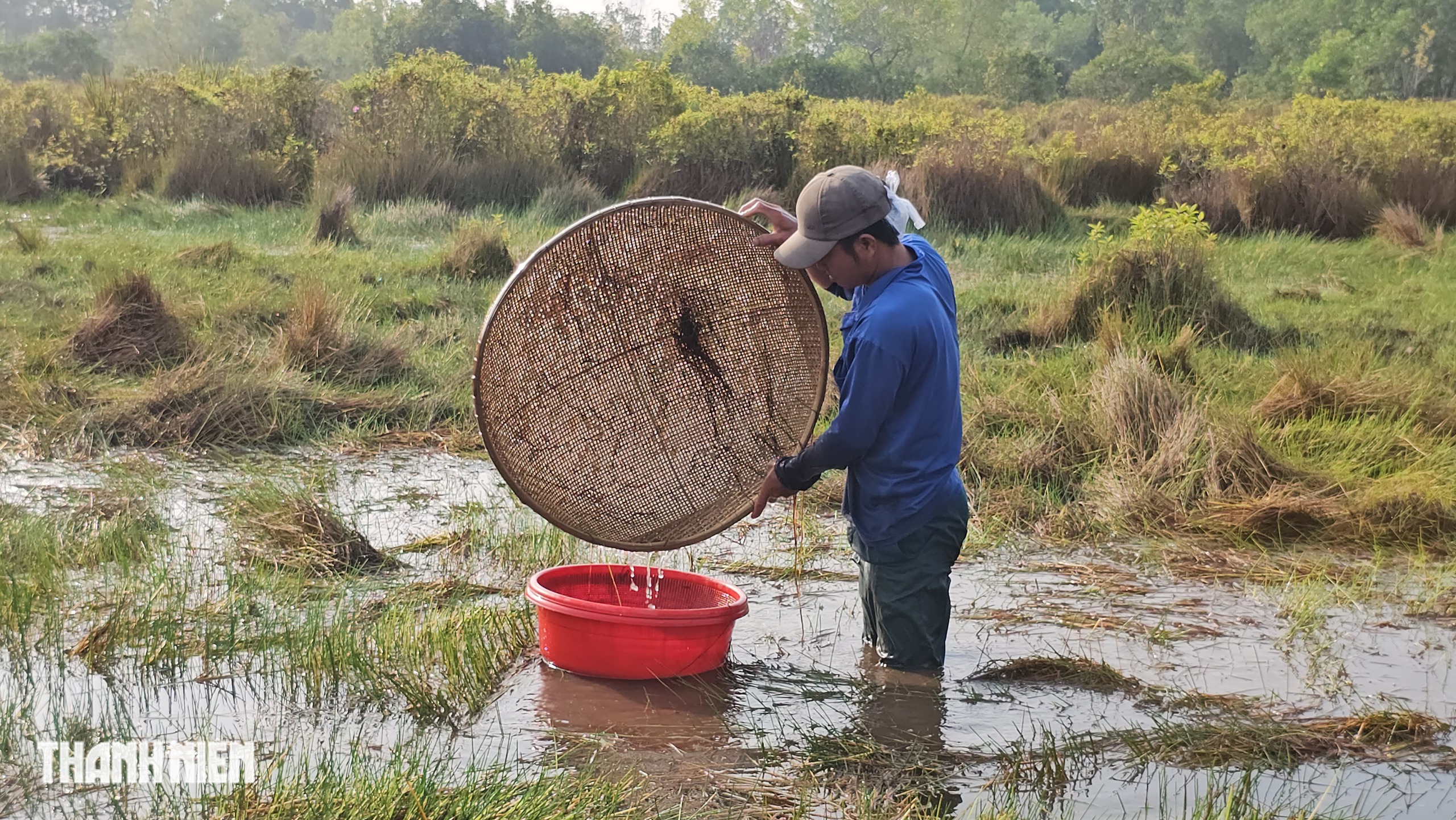 Gom nhặt lộc trời, đong đầy nghĩa xóm - Ảnh 5.