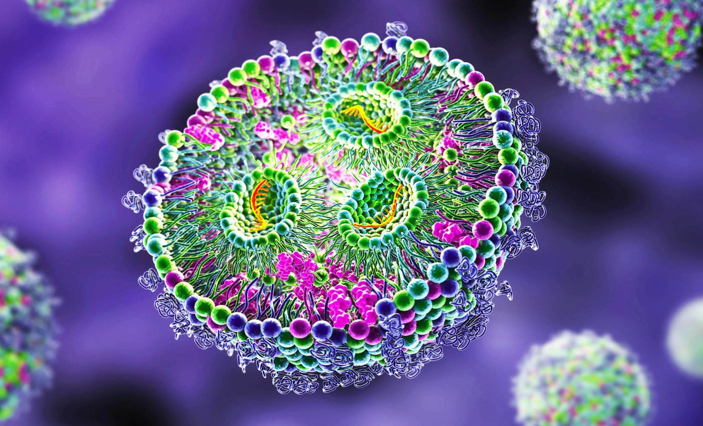 Phát hiện dạng sống mới trong cơ thể người- Ảnh 1. Phát hiện dạng sống mới trong cơ thể người- Ảnh 1.