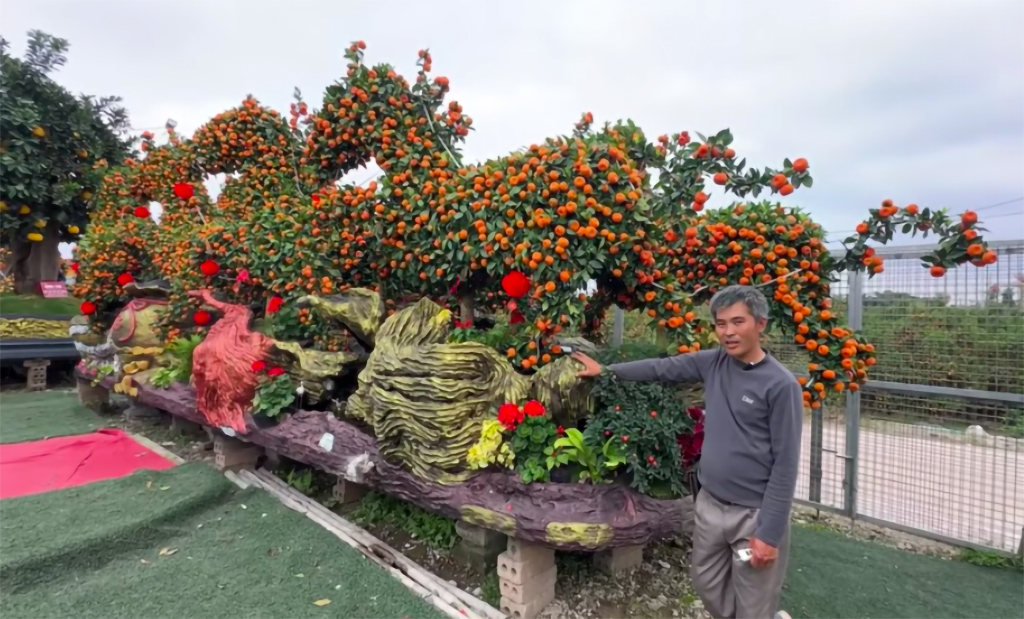 Săn kiểng độc, quả lạ chơi tết- Ảnh 1.