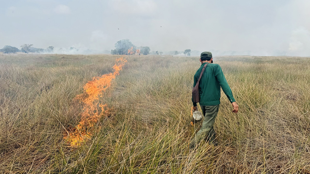 Bài học bảo tồn sếu Từ VQG Tràm Chim - Ảnh 4.
