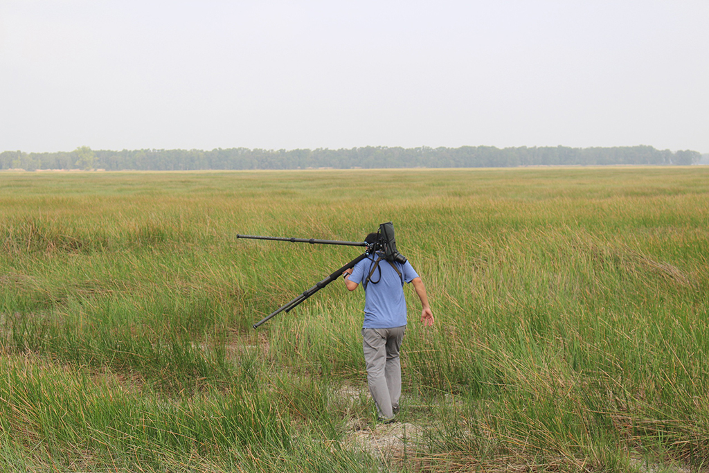 Bài học bảo tồn sếu Từ VQG Tràm Chim - Ảnh 5.