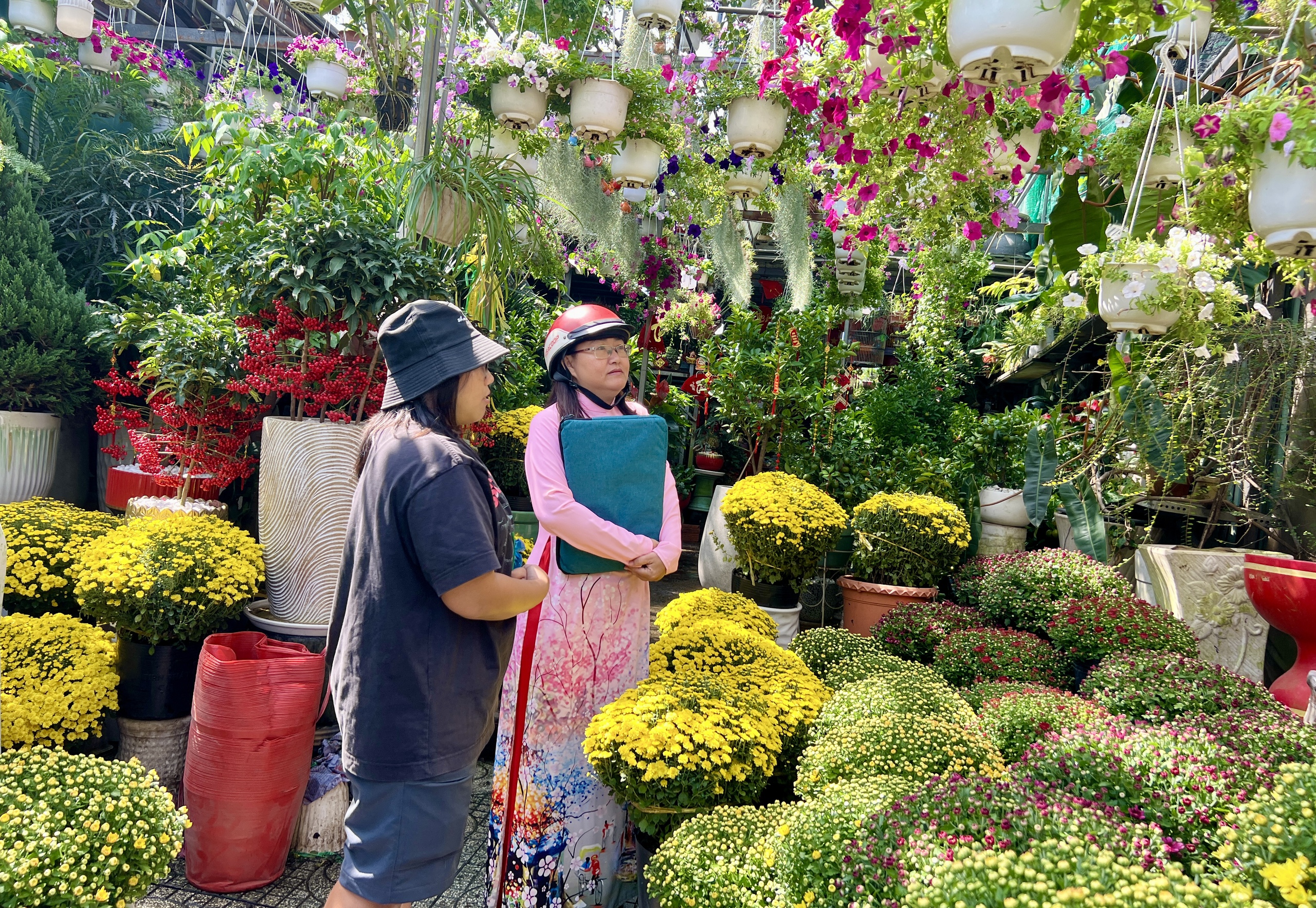 Người TP.HCM giải cứu hoa tết, c&uacute;c m&acirc;m x&ocirc;i cho tết 2026 - Ảnh 2.