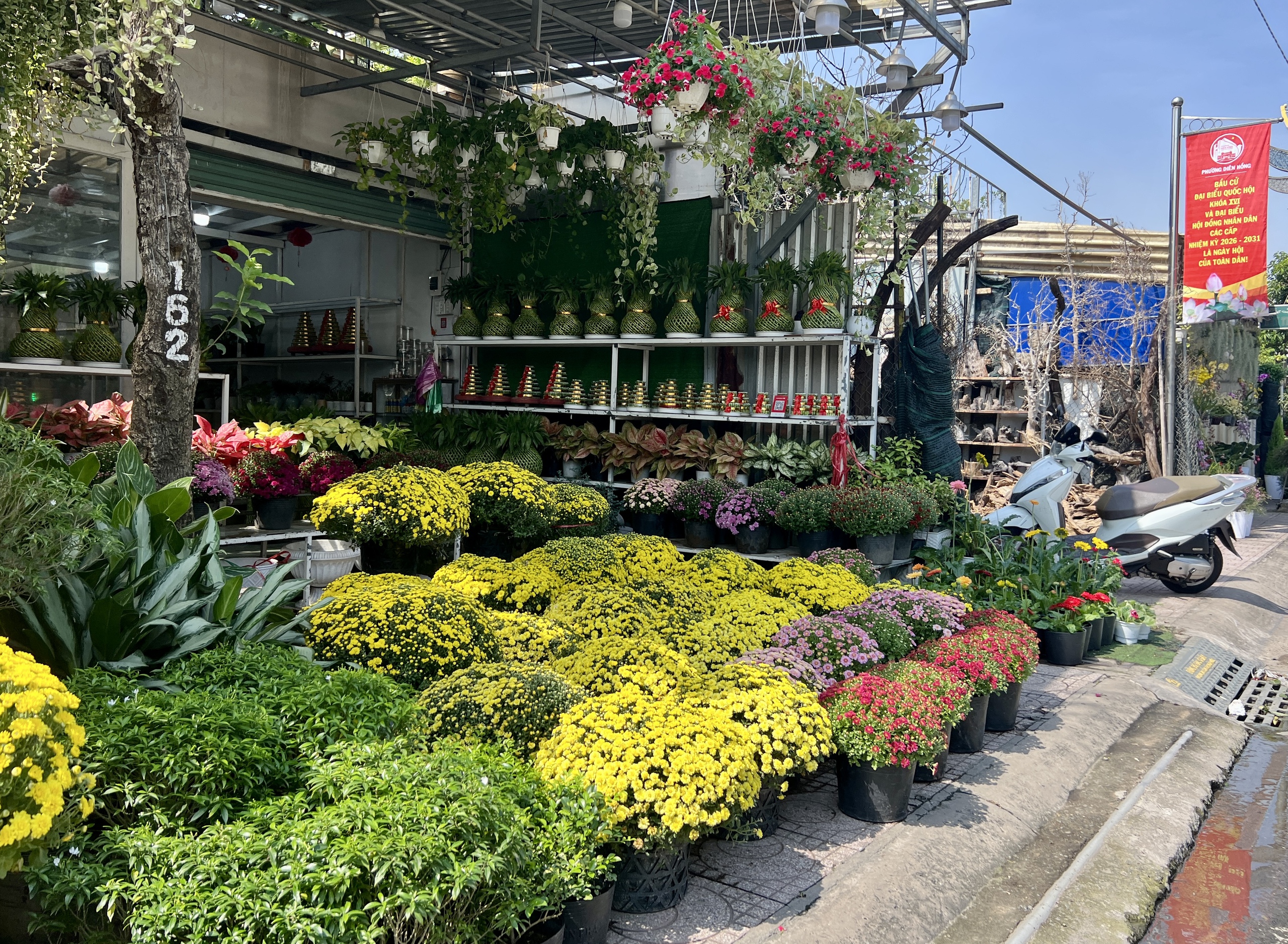 Người TP.HCM giải cứu hoa tết, c&uacute;c m&acirc;m x&ocirc;i cho tết 2026 - Ảnh 5.