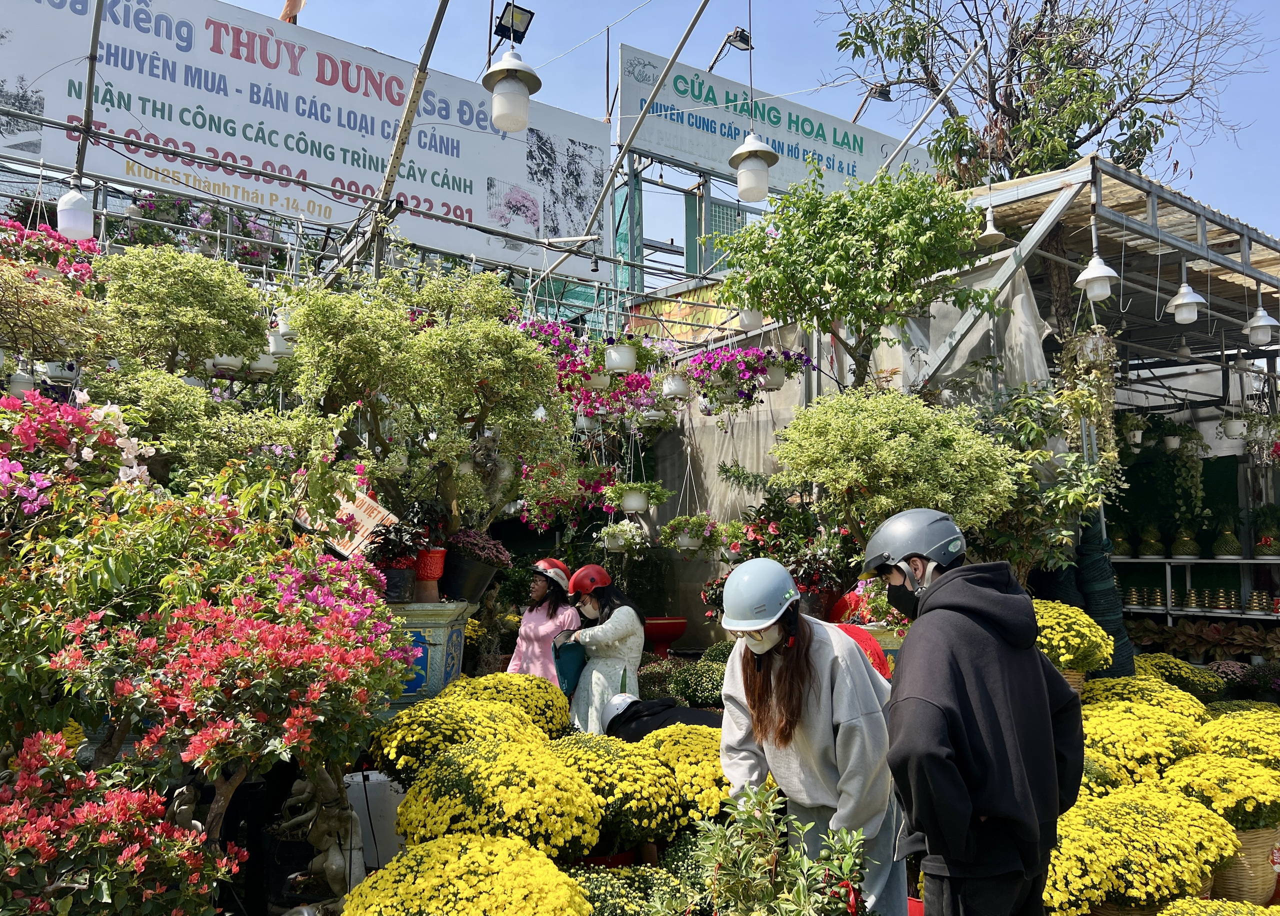 Người TP.HCM giải cứu hoa tết, c&uacute;c m&acirc;m x&ocirc;i cho tết 2026 - Ảnh 1.