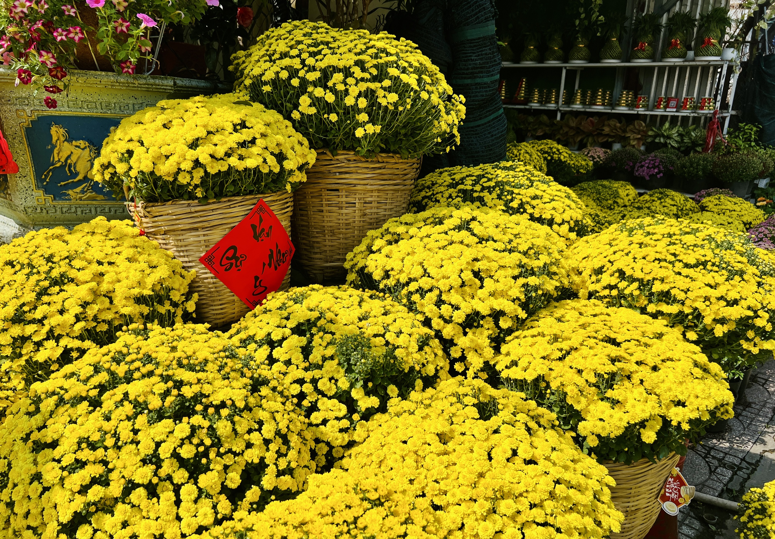 Người TP.HCM giải cứu hoa tết, c&uacute;c m&acirc;m x&ocirc;i cho tết 2026 - Ảnh 7.