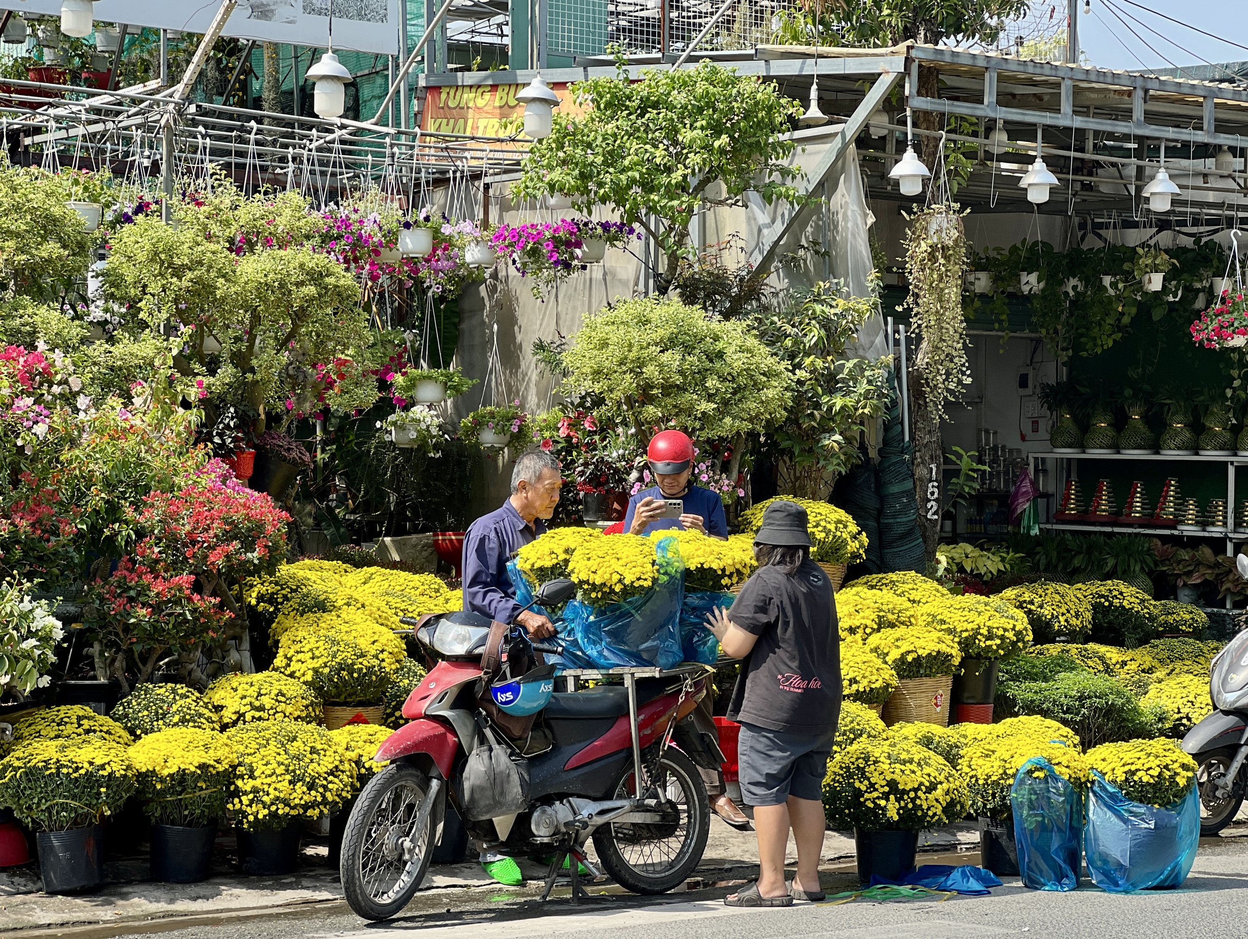 Hoa tết nở rực rỡ ở TP.HCM , người d&acirc;n ủng hộ n&ocirc;ng d&acirc;n miền T&acirc;y - Ảnh 10.