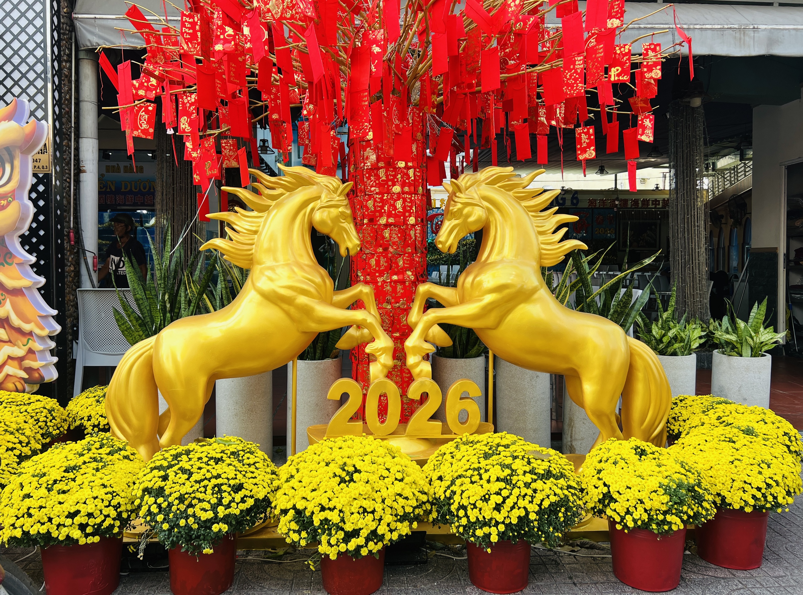 Hoa tết nở rực rỡ ở TP.HCM , người d&acirc;n ủng hộ n&ocirc;ng d&acirc;n miền T&acirc;y - Ảnh 6.