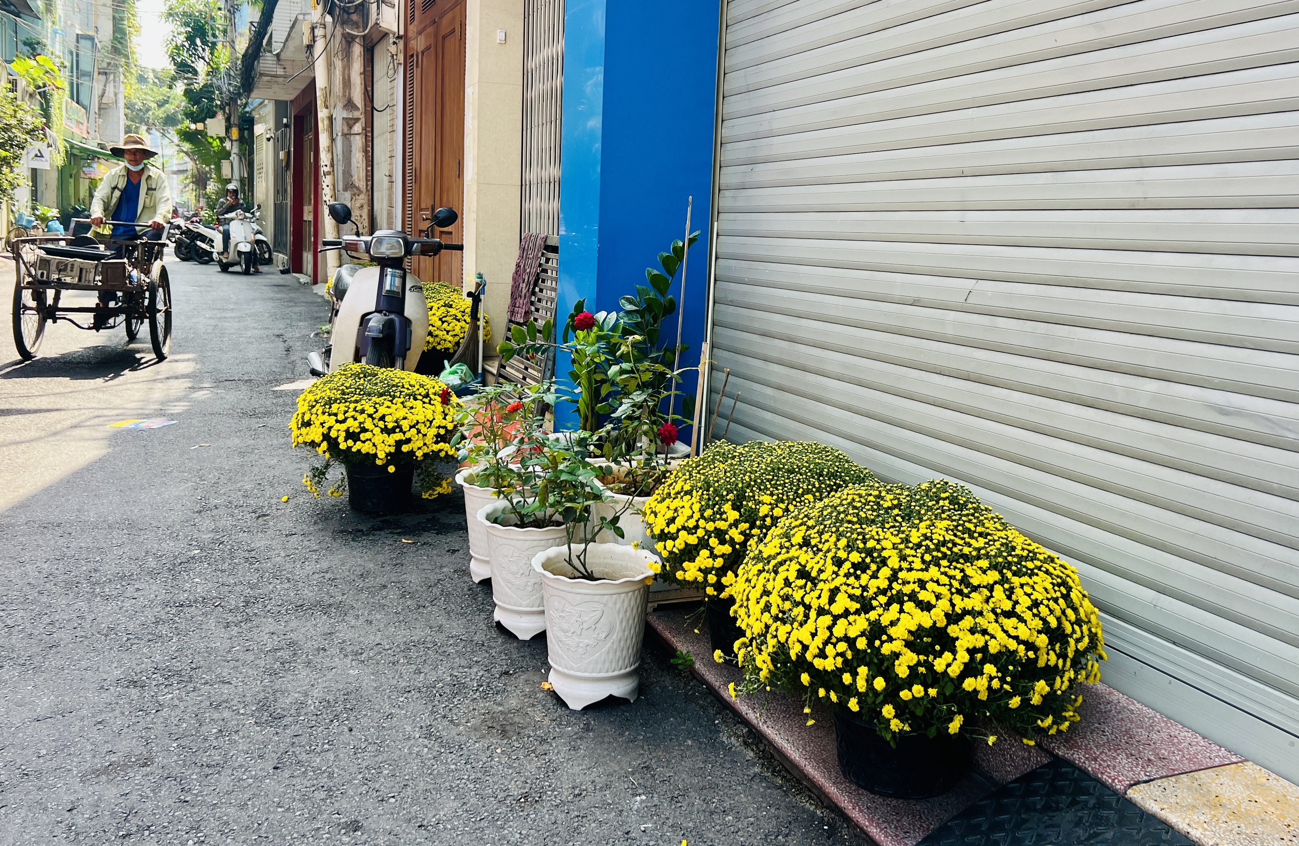 Hoa tết nở rực rỡ ở TP.HCM , người d&acirc;n ủng hộ n&ocirc;ng d&acirc;n miền T&acirc;y - Ảnh 3.