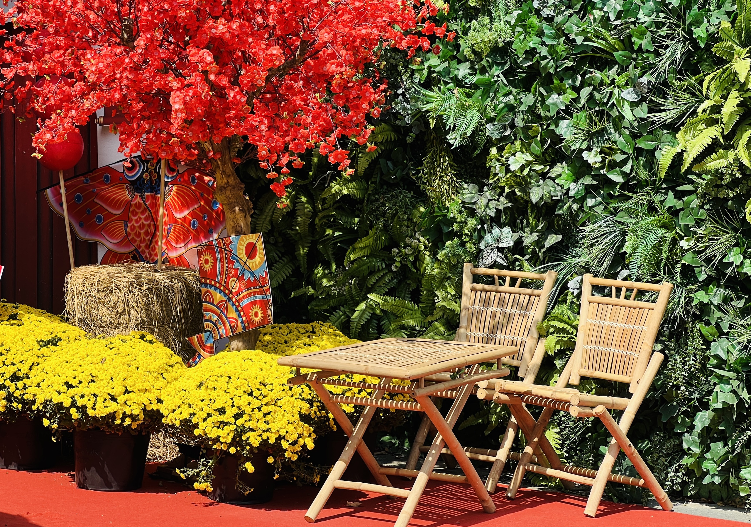 Hoa tết nở rực rỡ ở TP.HCM , người d&acirc;n ủng hộ n&ocirc;ng d&acirc;n miền T&acirc;y - Ảnh 7.