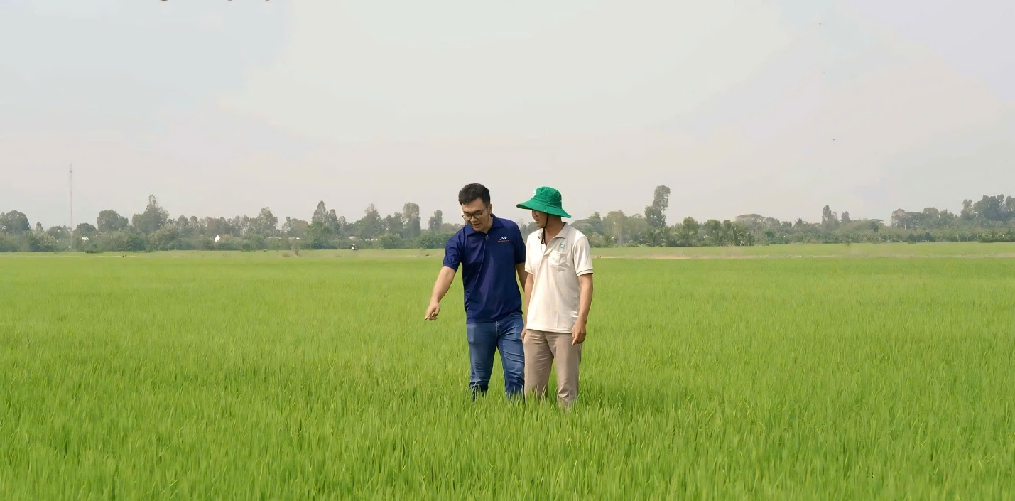 Phân bón NPK Việt Nhật, đâu phải chỉ riêng cho lúa- Ảnh 3. Phân bón NPK Việt Nhật, đâu phải chỉ riêng cho lúa- Ảnh 3.