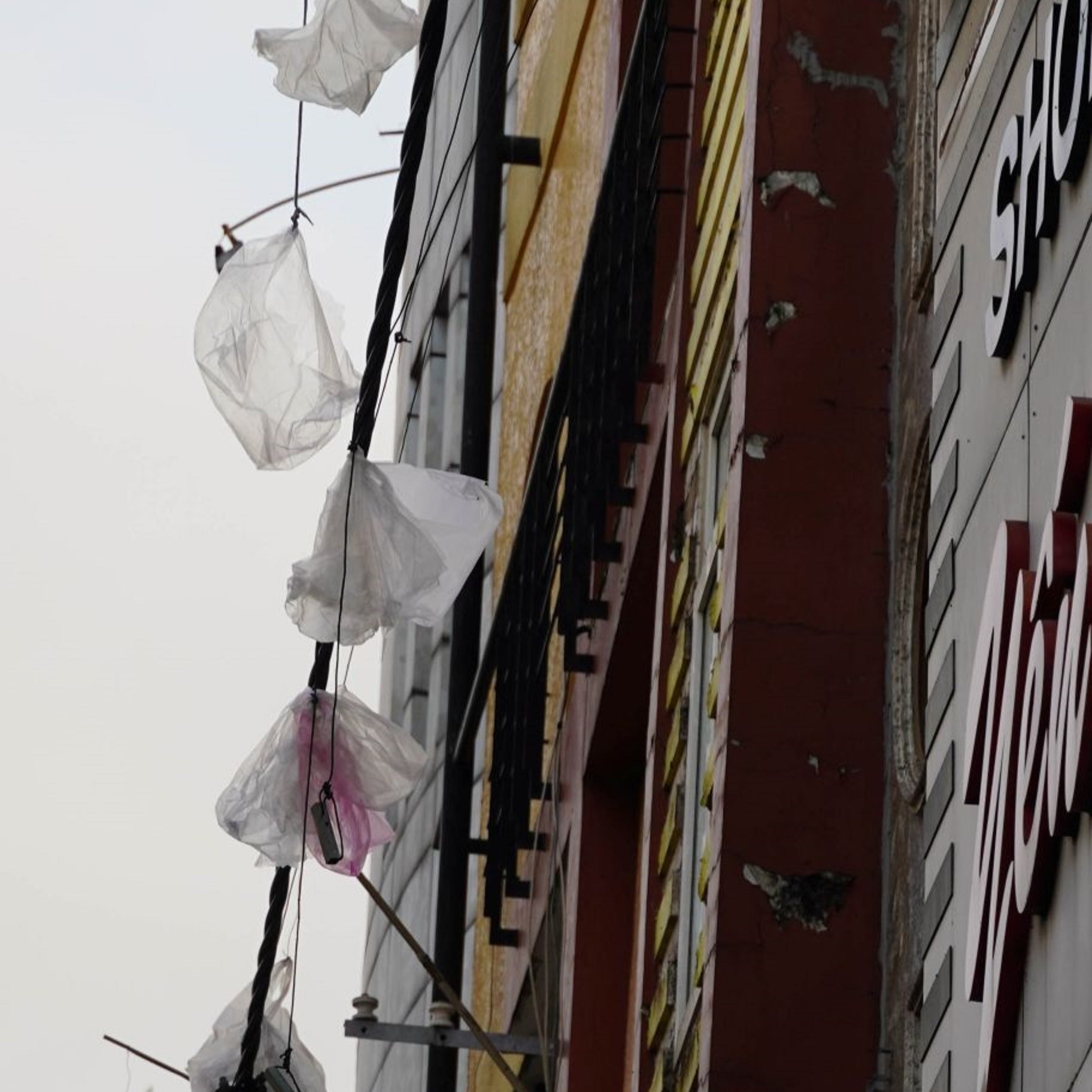 Hy hữu miền Tây: Người dân chật vật “sống chung” với hàng con chim én - Ảnh 5.