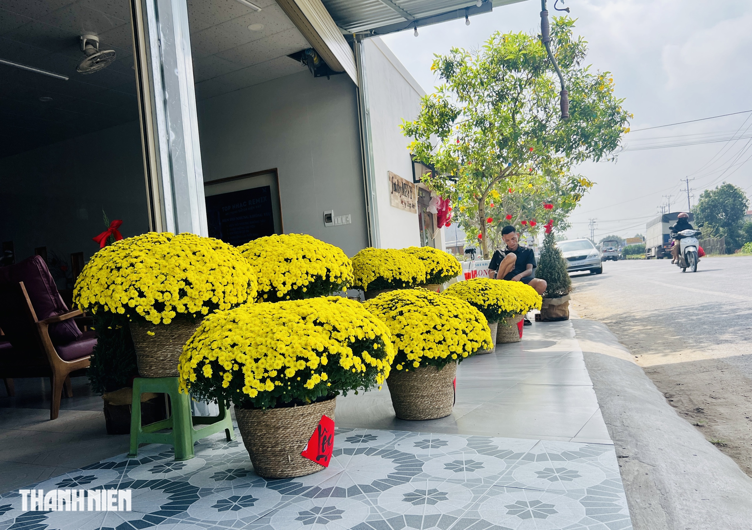 Cảnh đẹp hoa tết Chợ L&aacute;ch g&acirc;y x&uacute;c động suốt h&agrave;nh tr&igrave;nh về Bến Tre - Ảnh 5.