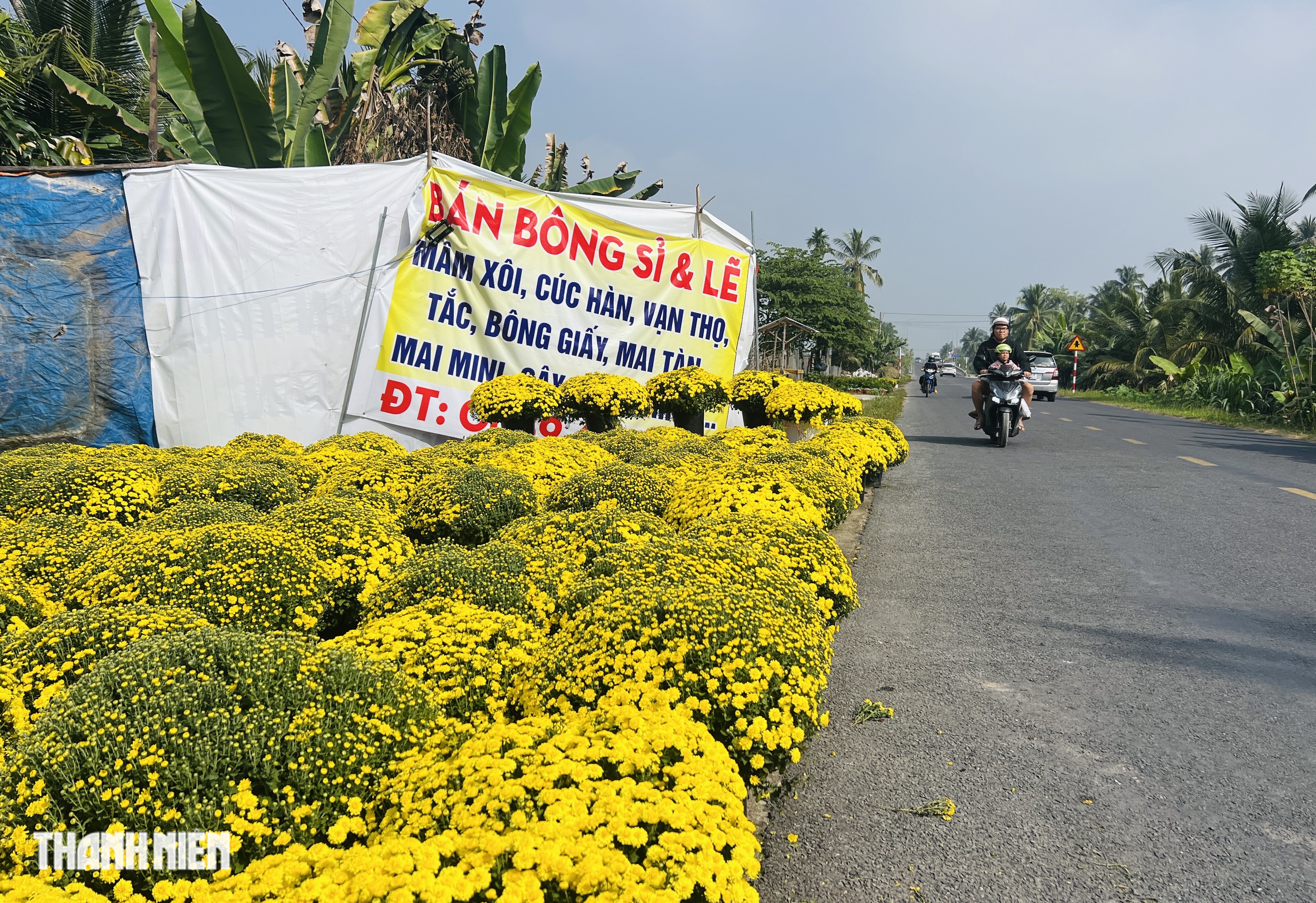 Cảnh đẹp hoa tết Chợ L&aacute;ch g&acirc;y x&uacute;c động suốt h&agrave;nh tr&igrave;nh về Bến Tre - Ảnh 8.