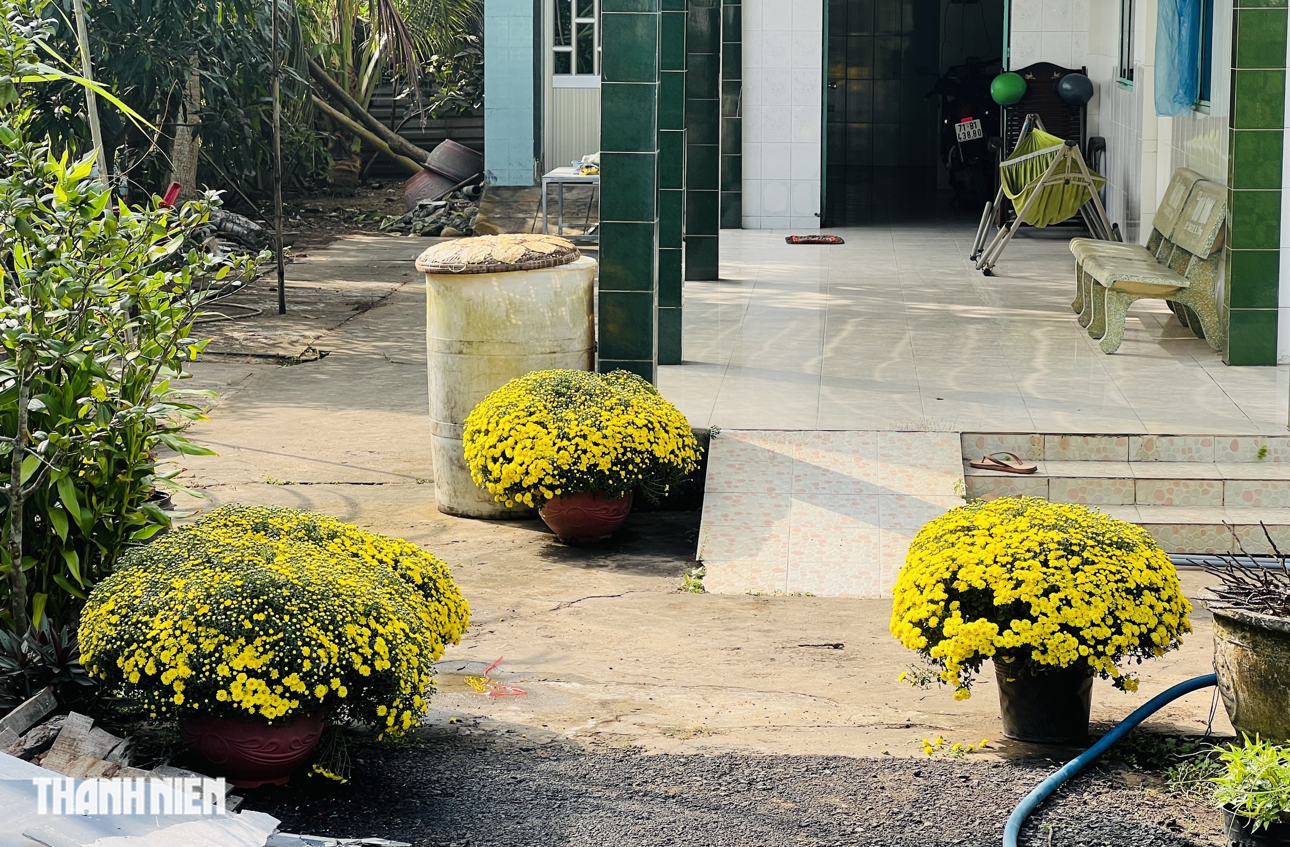 Cảnh đẹp hoa tết Chợ L&aacute;ch g&acirc;y x&uacute;c động suốt h&agrave;nh tr&igrave;nh về Bến Tre - Ảnh 3.