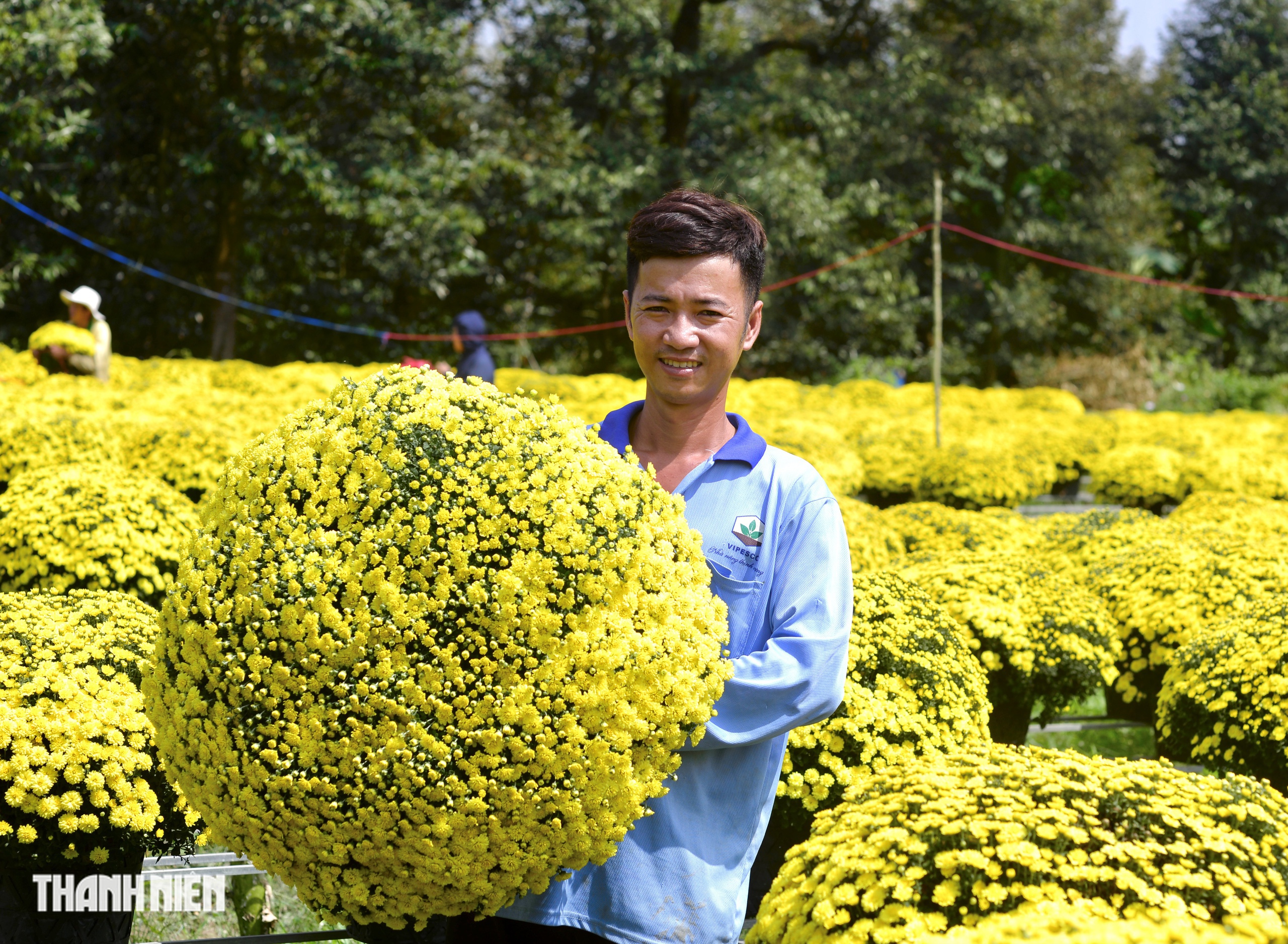 Rủ nhau mua hoa tết nở sớm: Tấm lòng thơm thảo yêu thương quê mình - Ảnh 4.