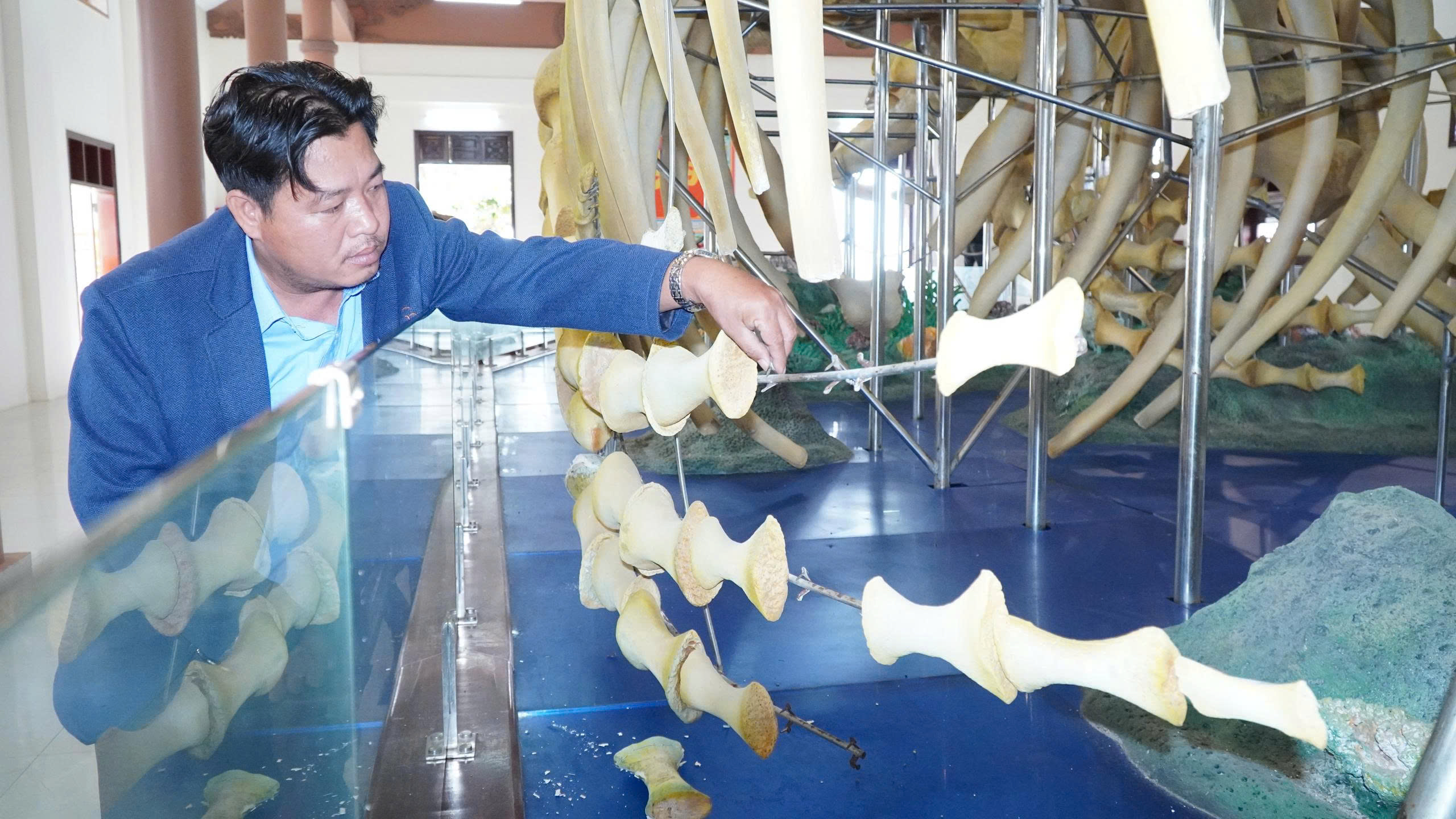 Hai bộ xương cá voi lớn nhất Việt Nam bị hư hỏng, chờ đánh giá mức độ xuống cấp - Ảnh 1.