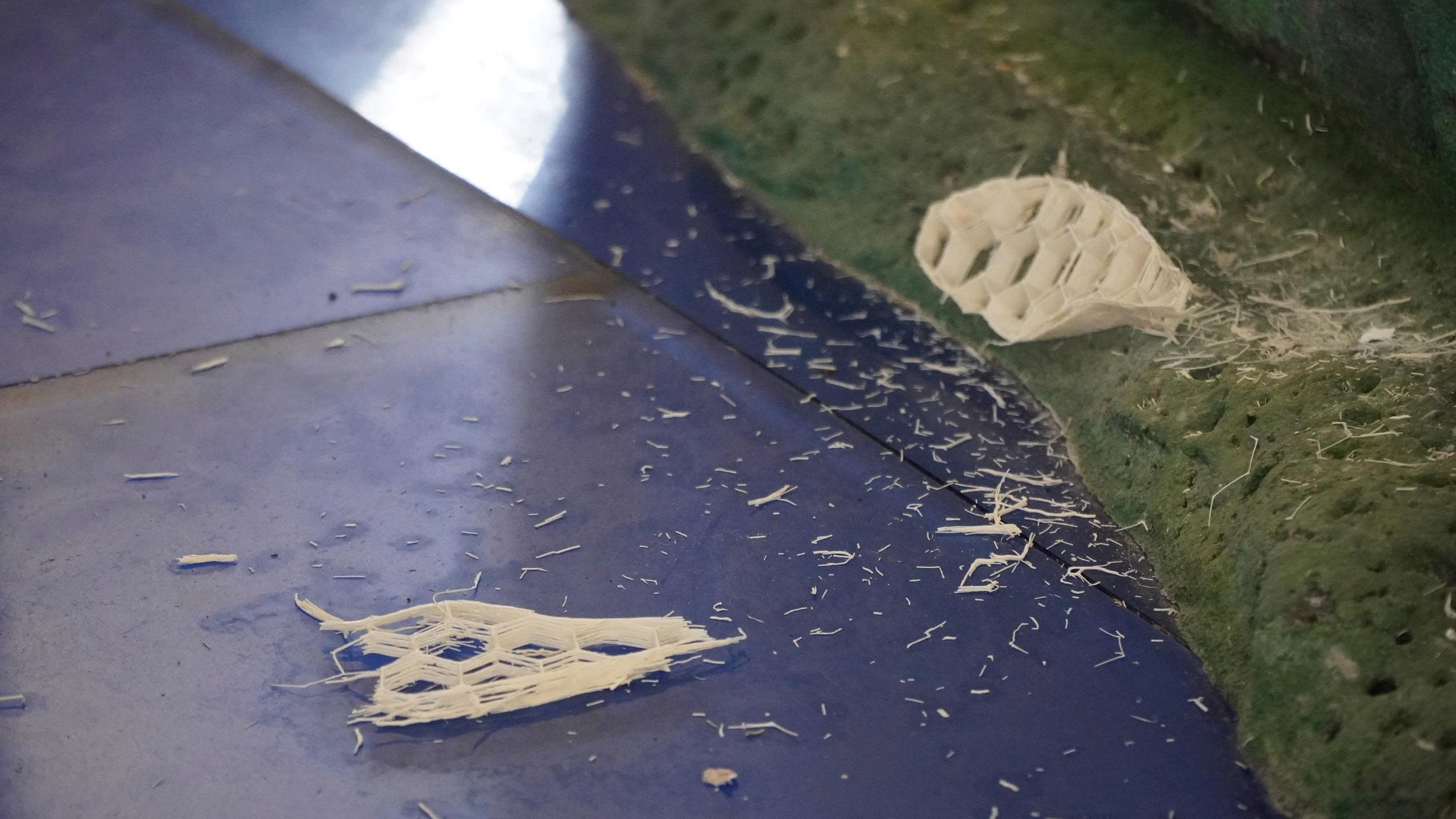 Hai bộ xương cá voi lớn nhất Việt Nam bị hư hỏng, chờ đánh giá mức độ xuống cấp - Ảnh 2.