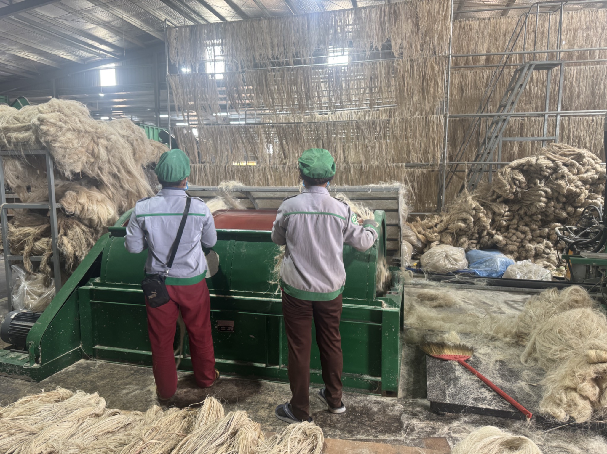 Tỉ ph&uacute; Trần B&aacute; Dương biến chuối phế thải th&agrave;nh sợi vải như thế n&agrave;o? - Ảnh 5.