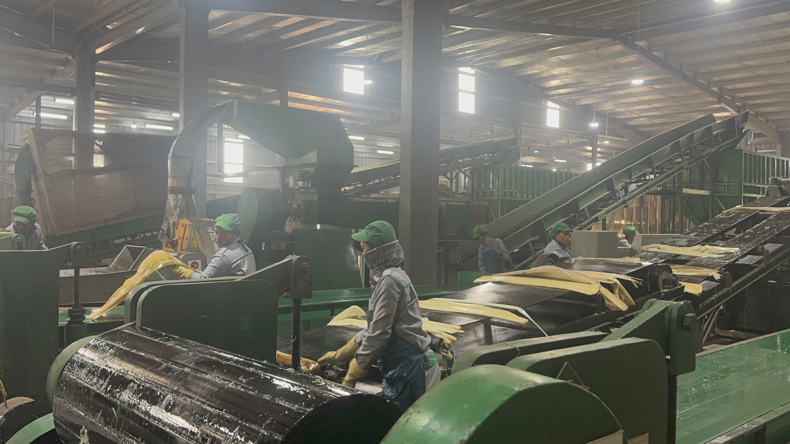 Tỉ ph&uacute; Trần B&aacute; Dương biến chuối phế thải th&agrave;nh sợi vải như thế n&agrave;o? - Ảnh 4.