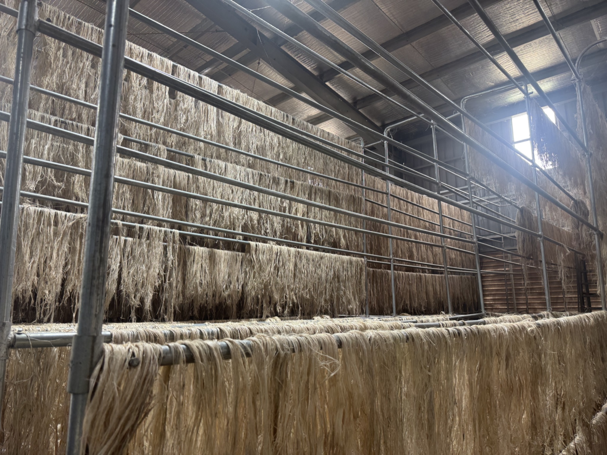 Tỉ ph&uacute; Trần B&aacute; Dương biến chuối phế thải th&agrave;nh sợi vải như thế n&agrave;o? - Ảnh 7.