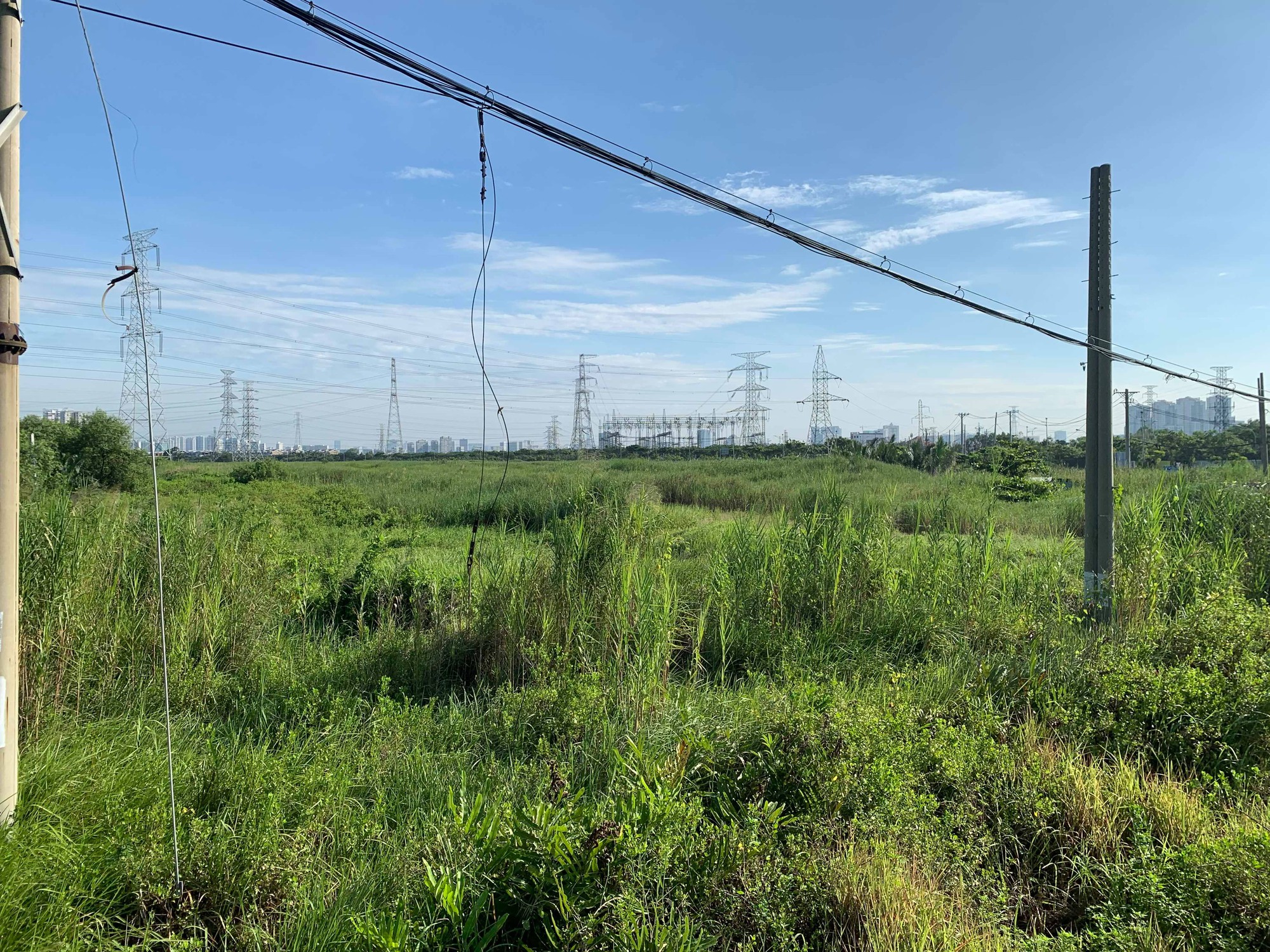 7 hành vi vi phạm đất đai có thể bị khởi tố, người dân cần nắm rõ- Ảnh 2.