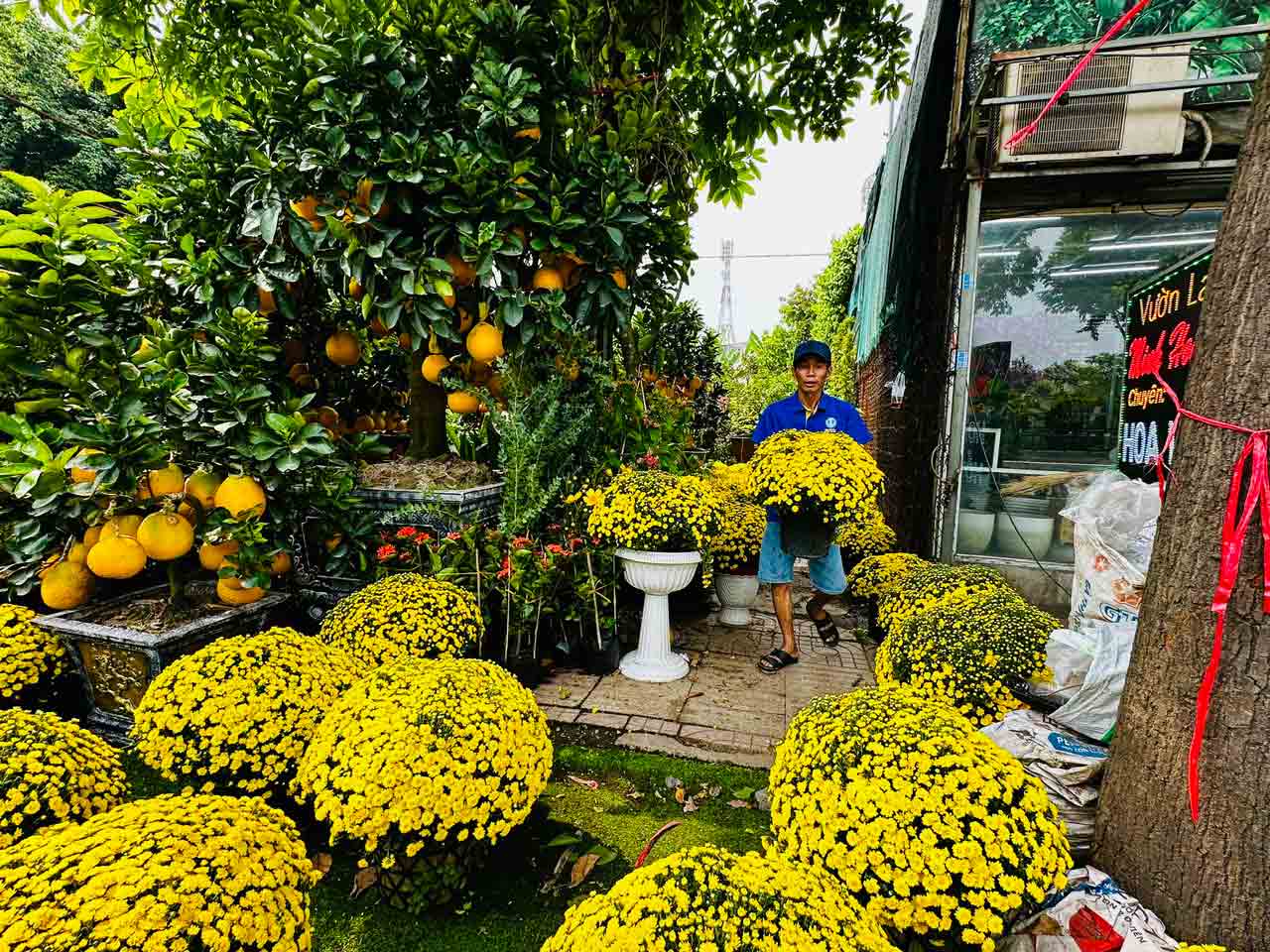 Nhà vườn hoa kiểng phập phồng vì thời tiết- Ảnh 2.