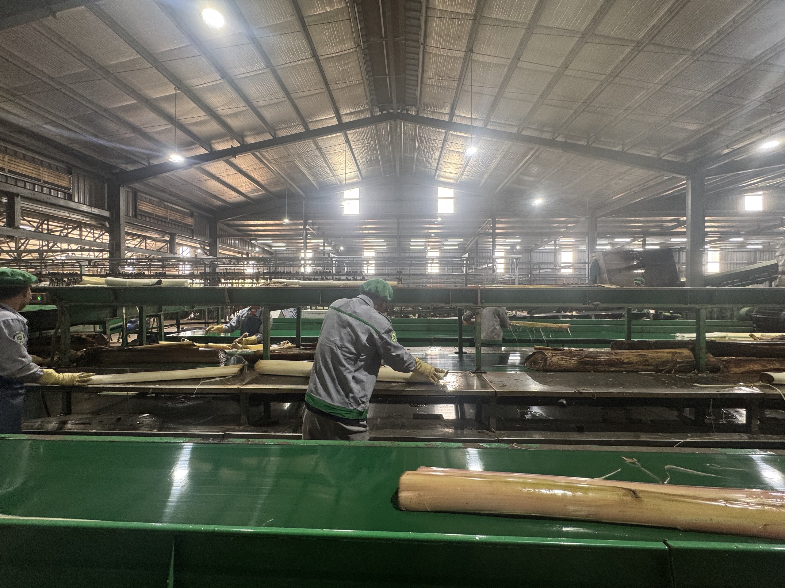 Tỉ ph&uacute; Trần B&aacute; Dương biến chuối phế thải th&agrave;nh sợi vải như thế n&agrave;o? - Ảnh 3.